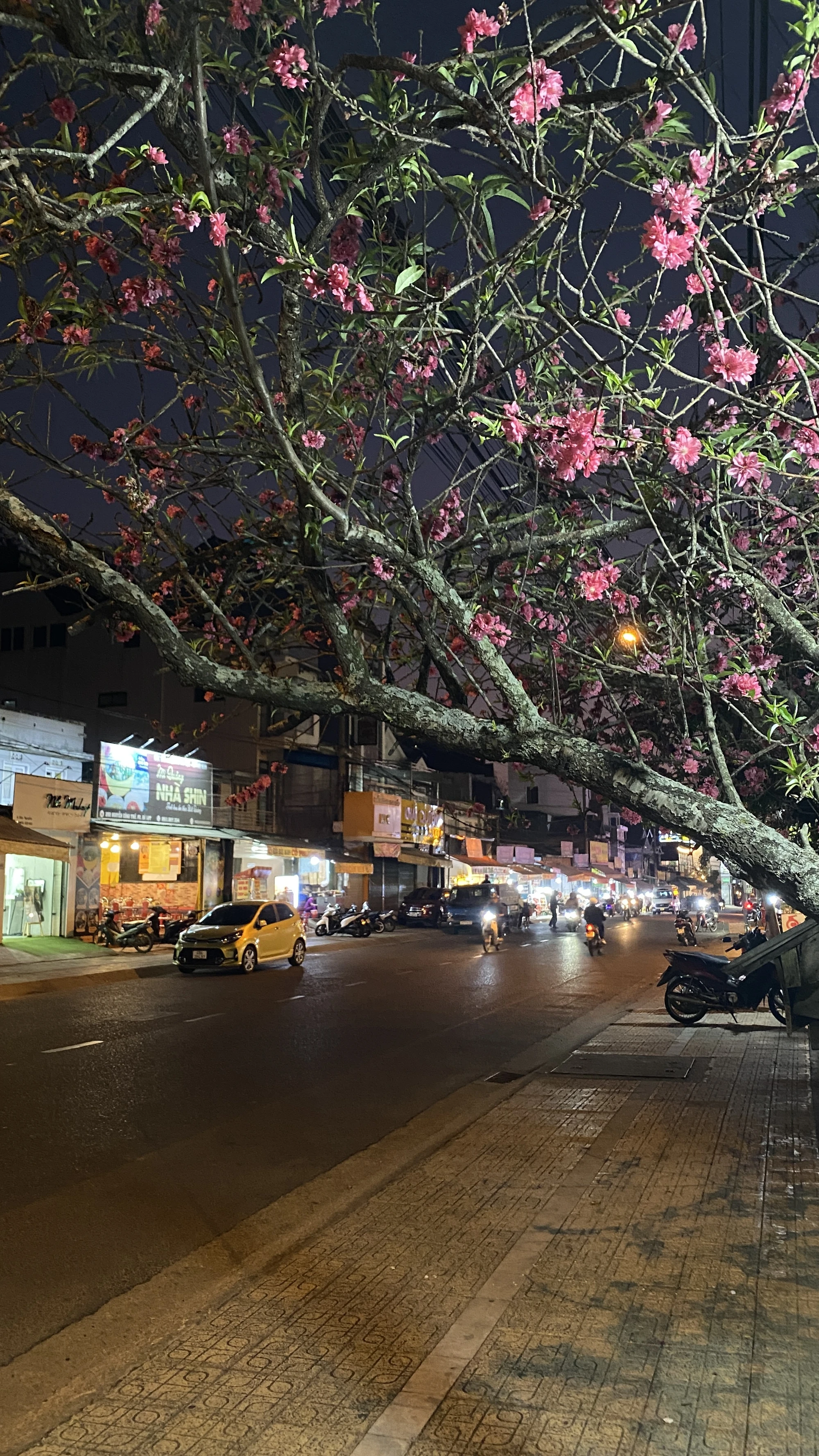 Phố Nguyễn Công Trứ sáng đèn dao-ta-13.jpg