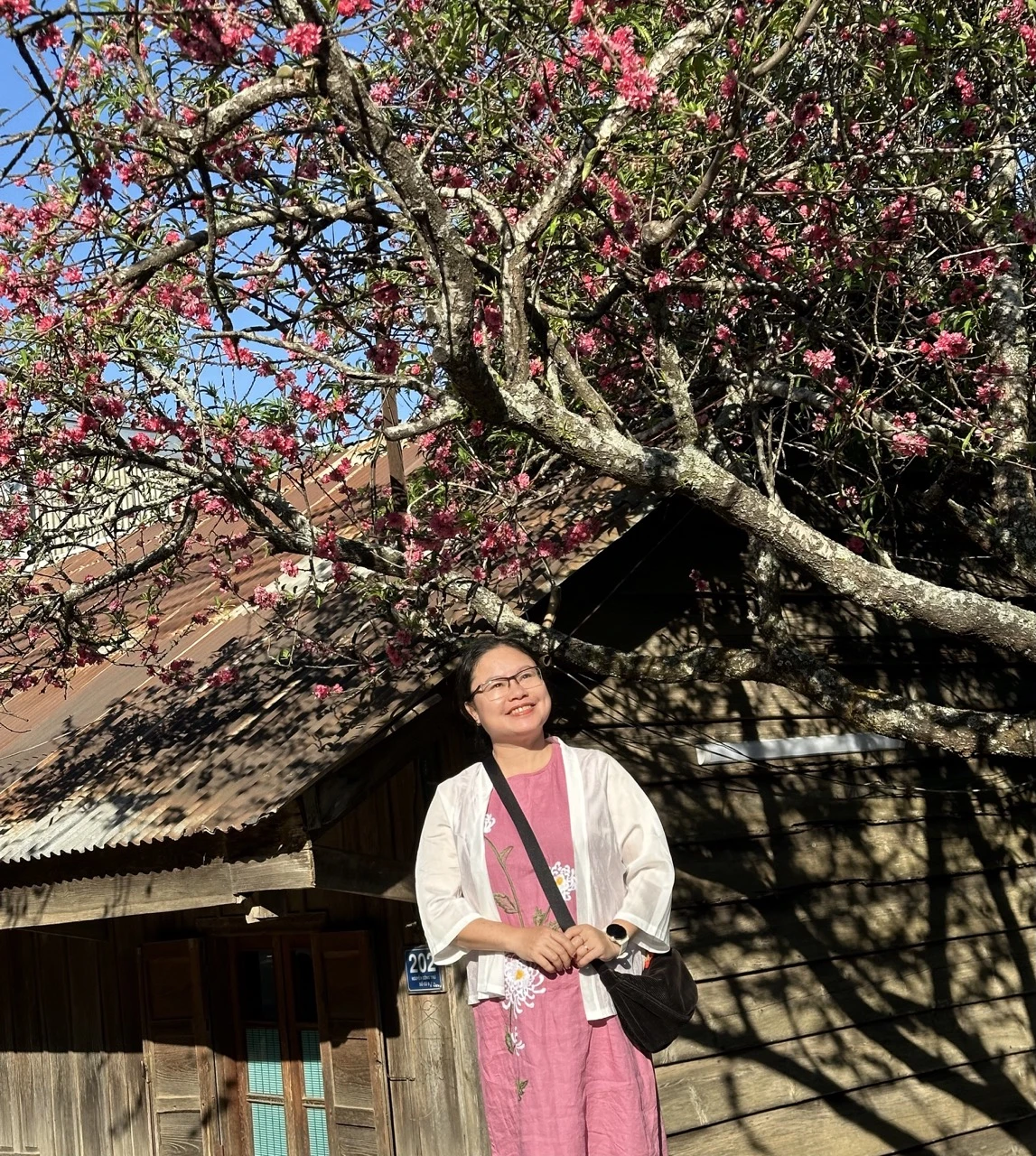 Nhiều du khách đang mê đắm cây đào này dao-ta-5 lớn.jpeg