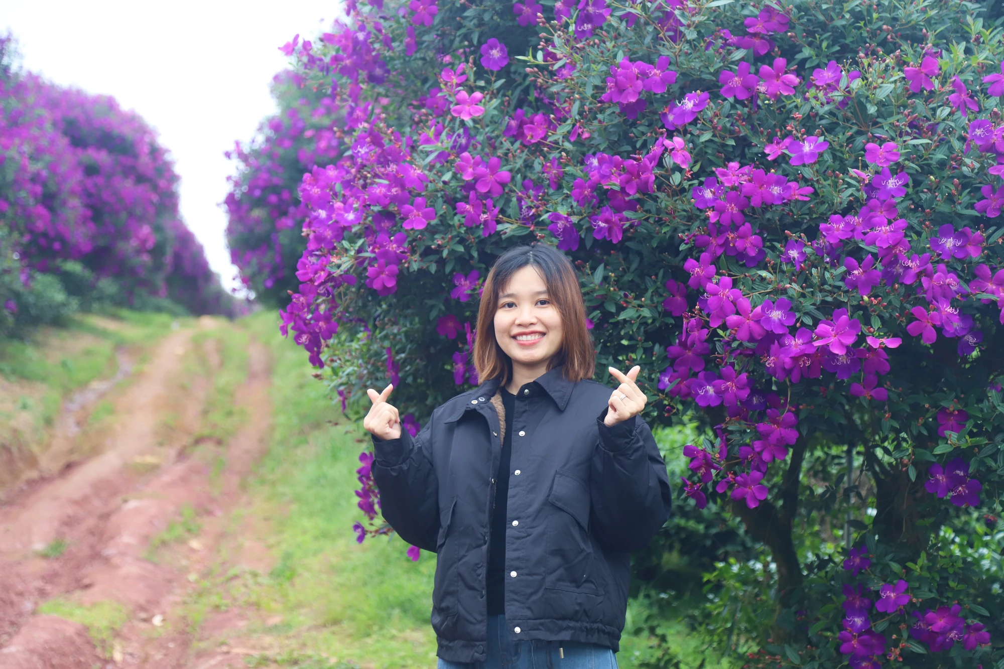 Nông trường luôn mở cửa để người dân, du khách đến tham quan miễn phí. B3.jpg