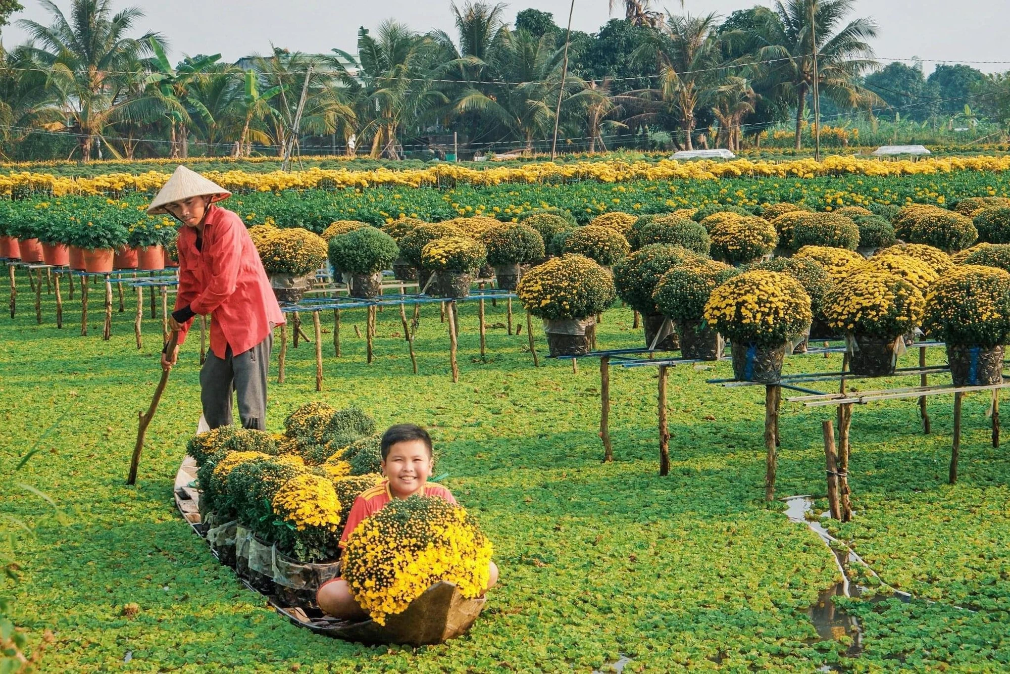 Làng hoa Sa Đéc - Vựa hoa lớn nhất miền Tây. Ảnh: VÕ MINH THIÊN