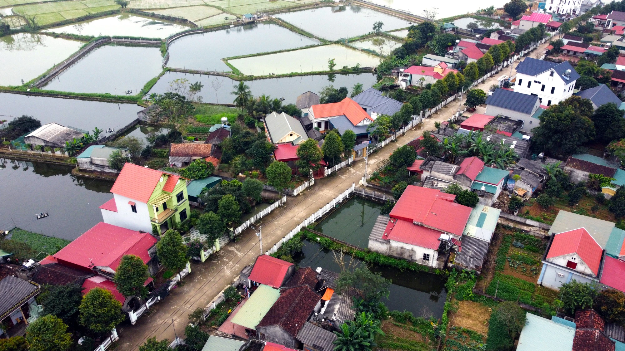 Cận cảnh ngôi làng dân hiến đất mở đường rộng như đô thị - 3.JPG