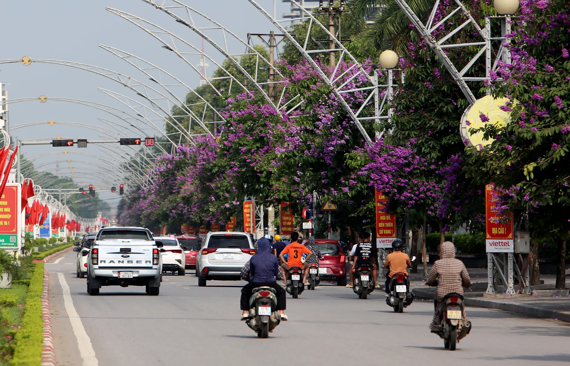 Ở mỗi góc phố khác nhau đều mang lại vẻ đẹp yên bình. Những bóng hồng trong mùa hoa băng tím nở rộ ở Thanh Hóa - 17.JPG