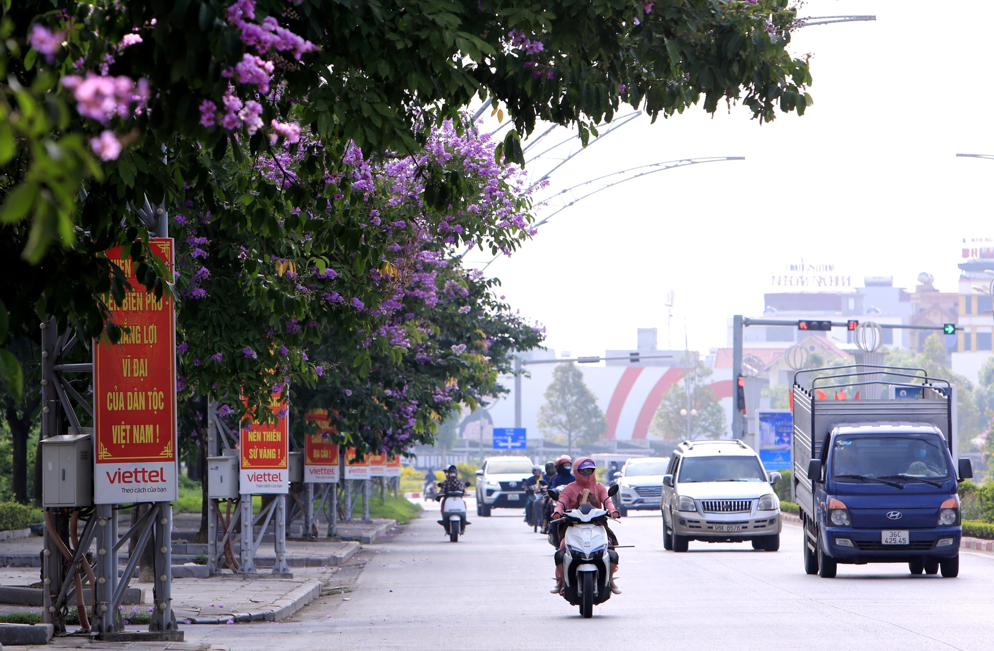 Chính những hàng cây bằng lăng tím làm không gian trên các tuyến đường ở Thanh Hóa trở nên thêm đẹp hơn. Những bóng hồng trong mùa hoa băng tím nở rộ ở Thanh Hóa - 19.JPG