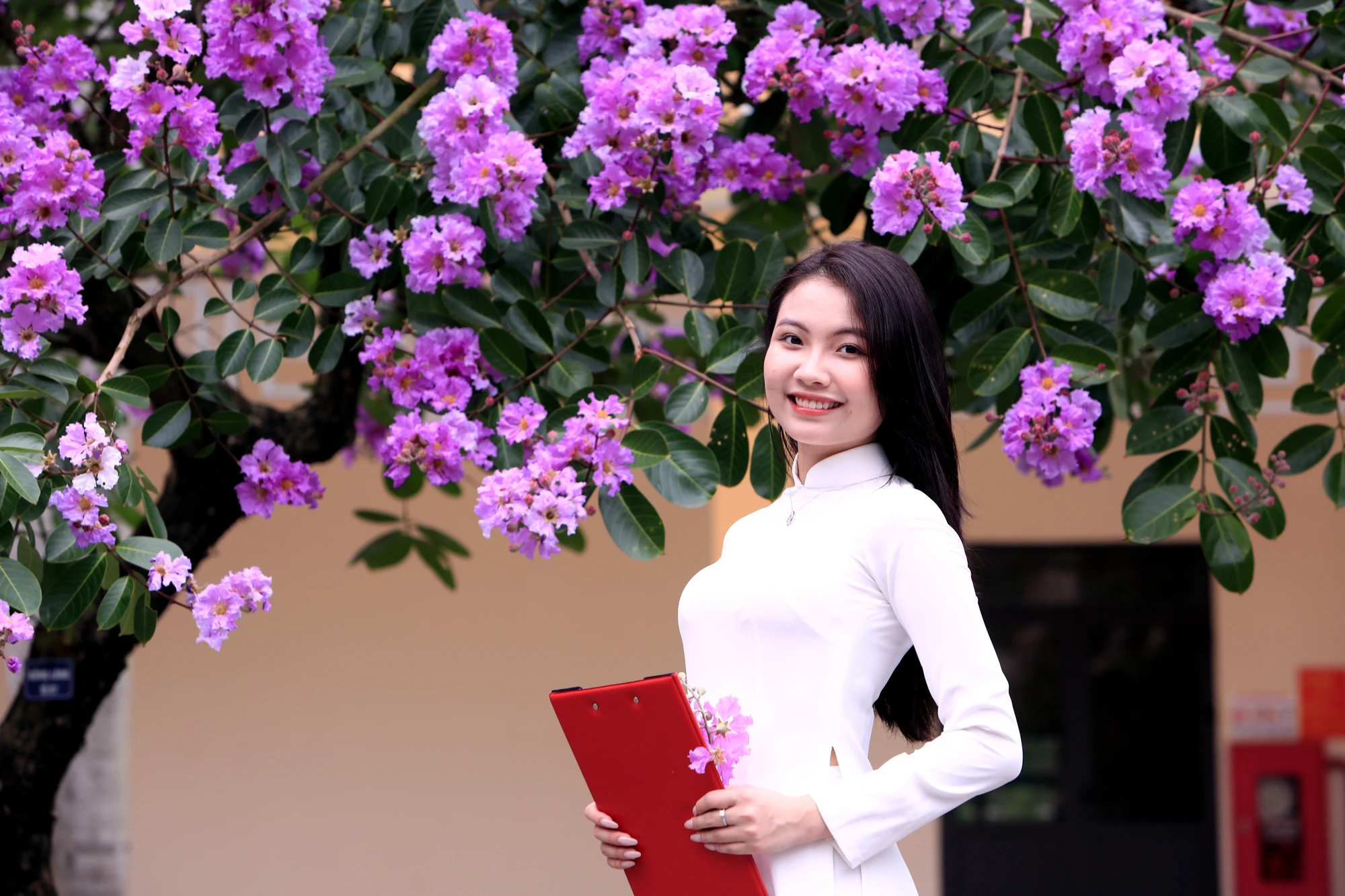 Nhiều bạn trẻ lưu lại khoảnh khắc thanh xuân đẹp nhất về hoa bằng lăng. Những bóng hồng trong mùa hoa băng tím nở rộ ở Thanh Hóa - 7.JPG