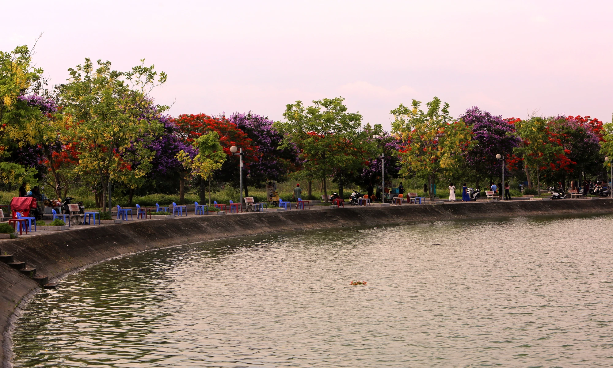 Nhiều người chia sẻ Công viên Hồ Đồng Chiệc chính là công viên đẹp nhất ở xứ Thanh bởi cùng một lúc nhiều loại hoa bung nở, khoe sắc. Công viên Hồ Đồng Chiệc được ví như Hàn Quốc thu nhỏ giữ lòng xứ Thanh - 2.JPG