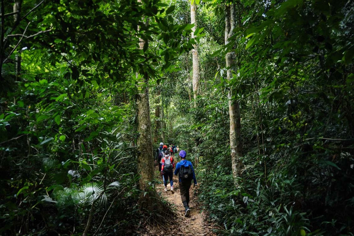 Các tour du lịch thám hiểm, khám phá hang động được tổ chức đều là các tour trekking với hoạt động đi bộ chiếm phần lớn thời gian của hành trình. Ảnh: Oxalis Trekking theo một lối mòn trong rừng =.jpg