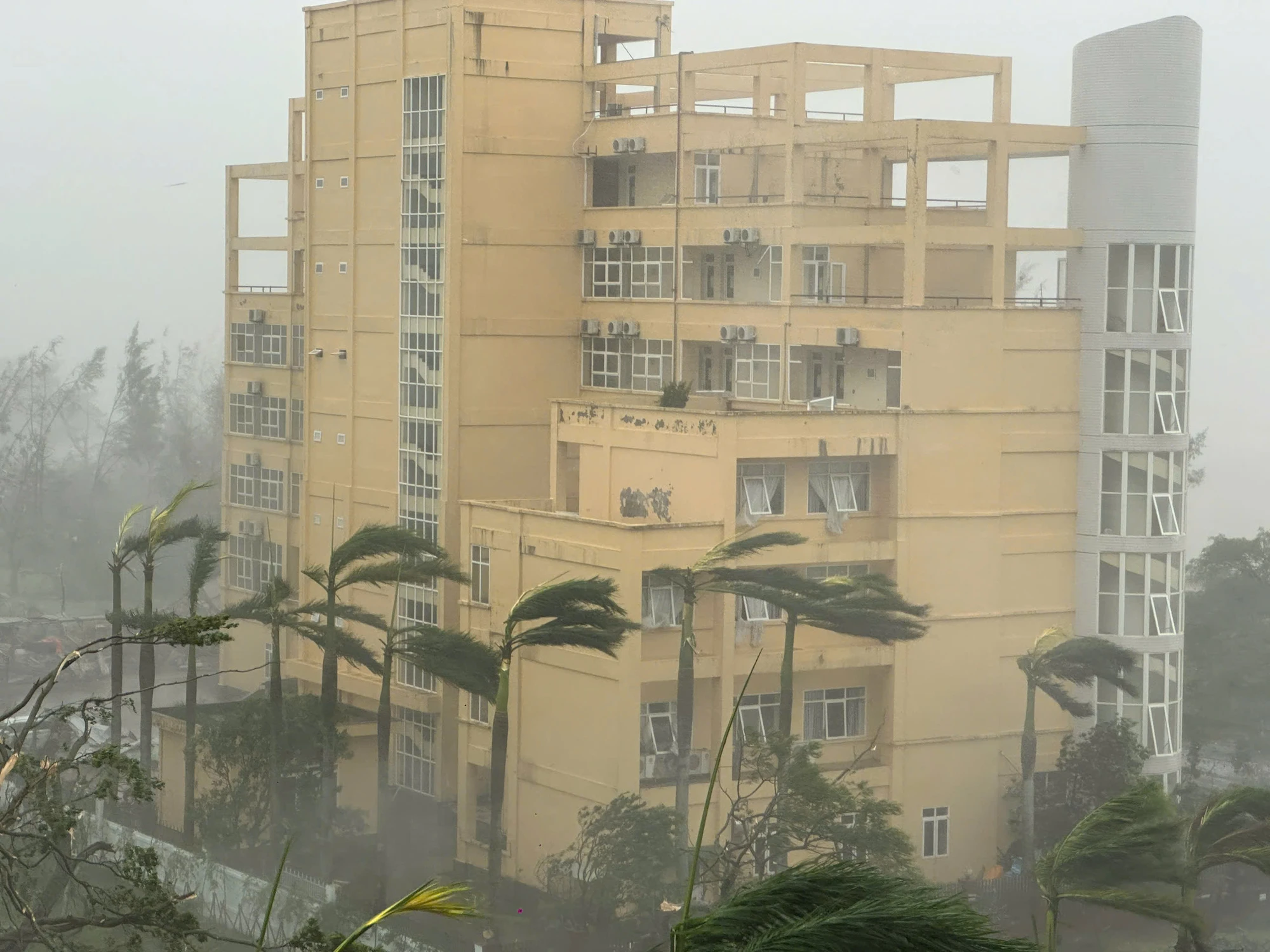 Bão số 3 Yagi đổ bộ vào miền Bắc nước ta với những trận mưa lớn kèm theo gió mạnh. Ảnh: NGỌC SƠN bão.jpeg