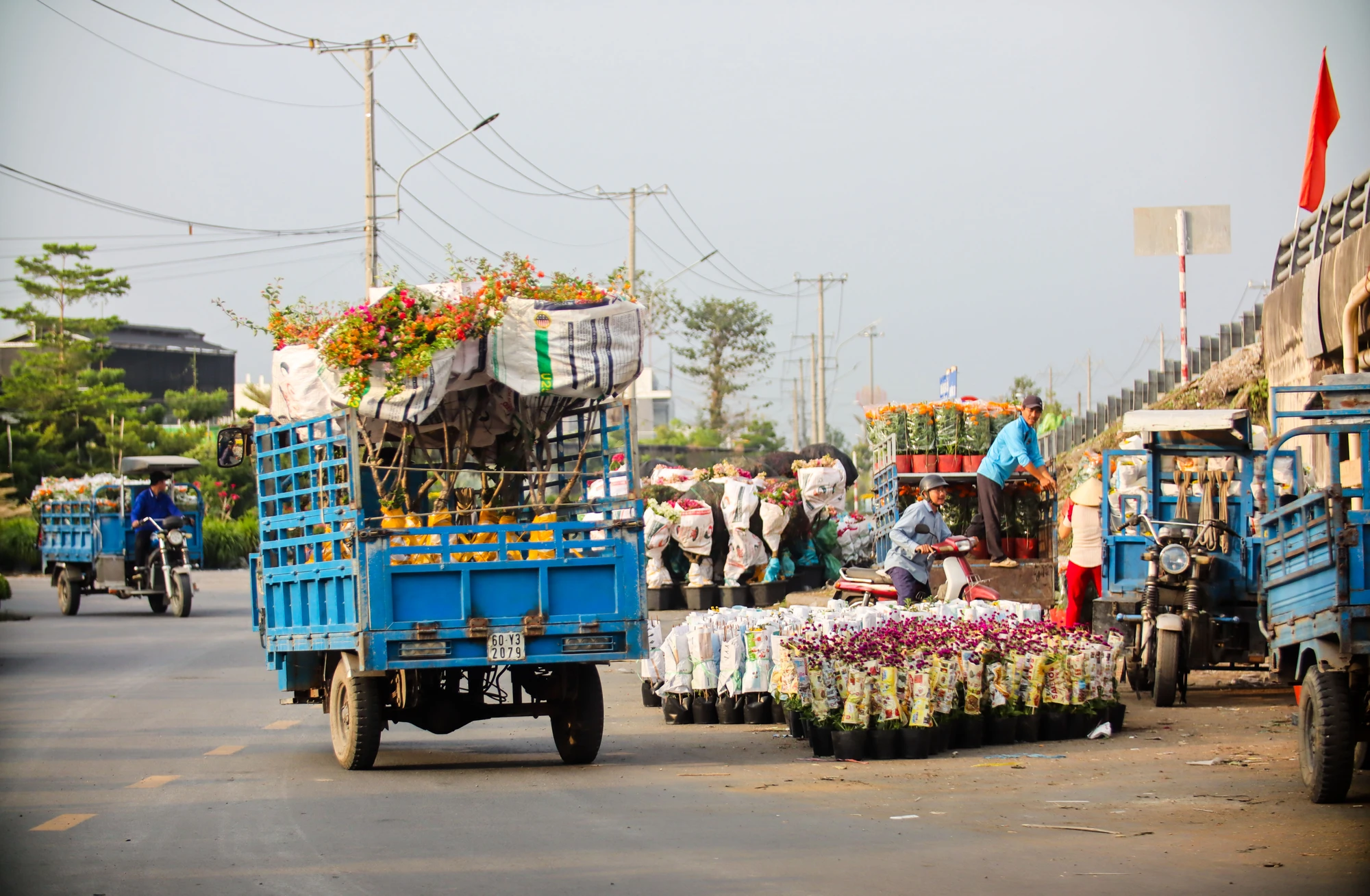 Làng hoa Sa Đéc (1).jpg