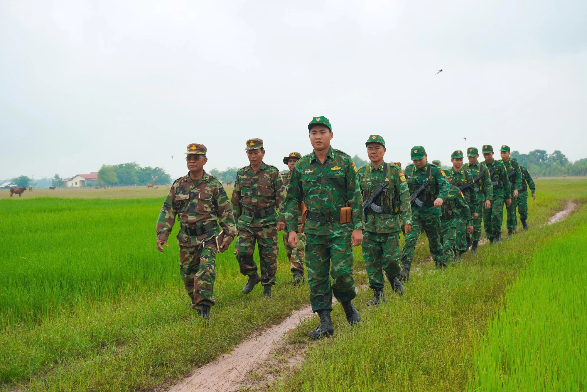 Mùa nước nổi 15.jpg