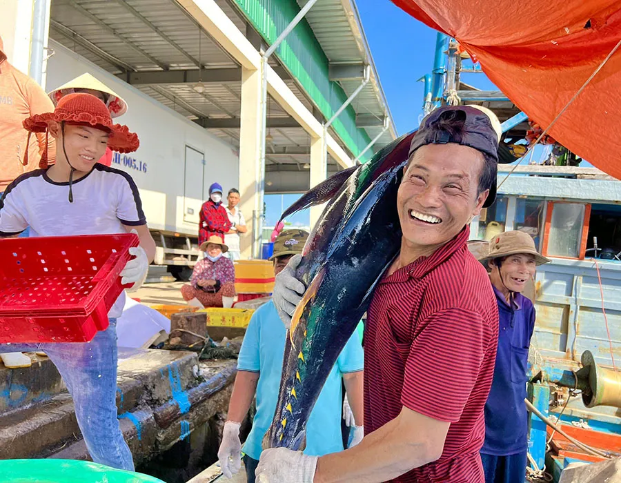 Niềm vui của ngư dân Quảng Ngãi khi trúng đậm mùa cá. Ảnh: THANH NHẬT