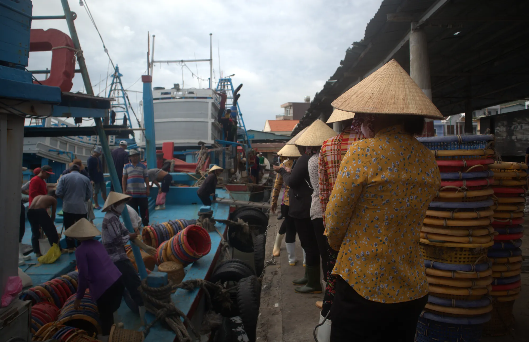 Chờ kéo cá khi tàu cập bến. Ảnh: TK