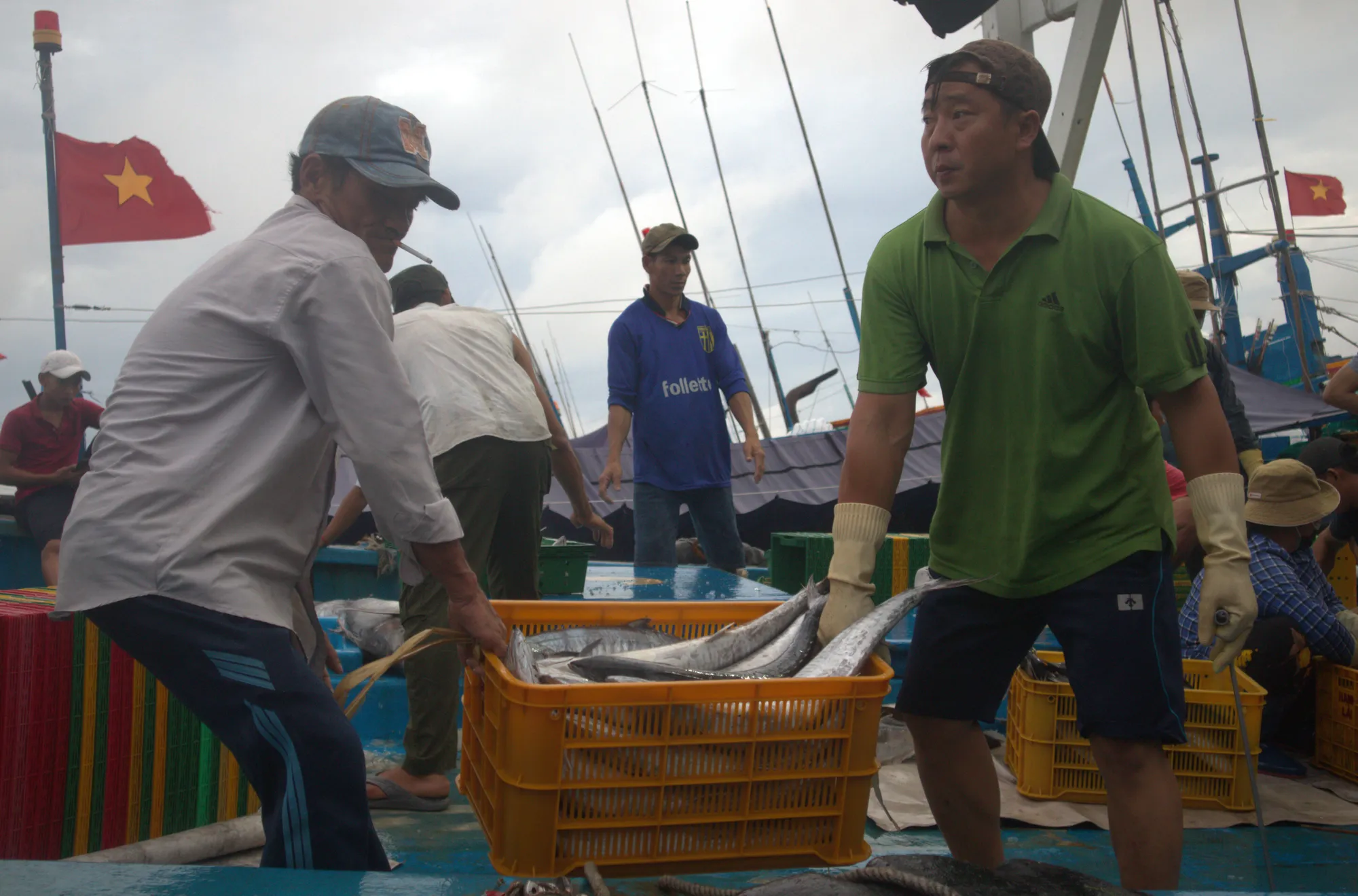 Xuống cá sau khi tàu cập bờ cảng Incomap, phường 5, TP Vũng Tàu. Ảnh: TK