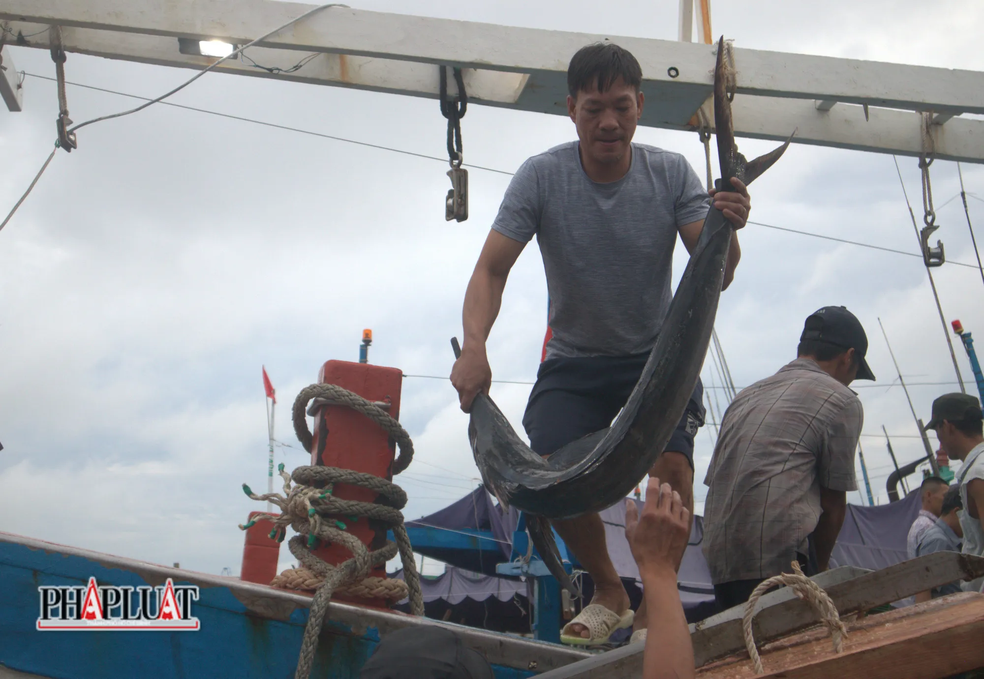 Xuống cá tại cảng Incomap, phường 5, TP Vũng Tàu. Ảnh: TK