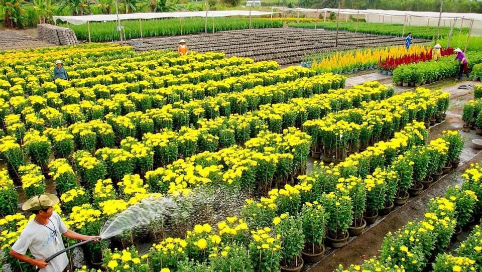 Huyện Đất Đỏ có nhiều thế mạnh phát triển nông nghiệp Huyen-Dat-Do-8.jpg