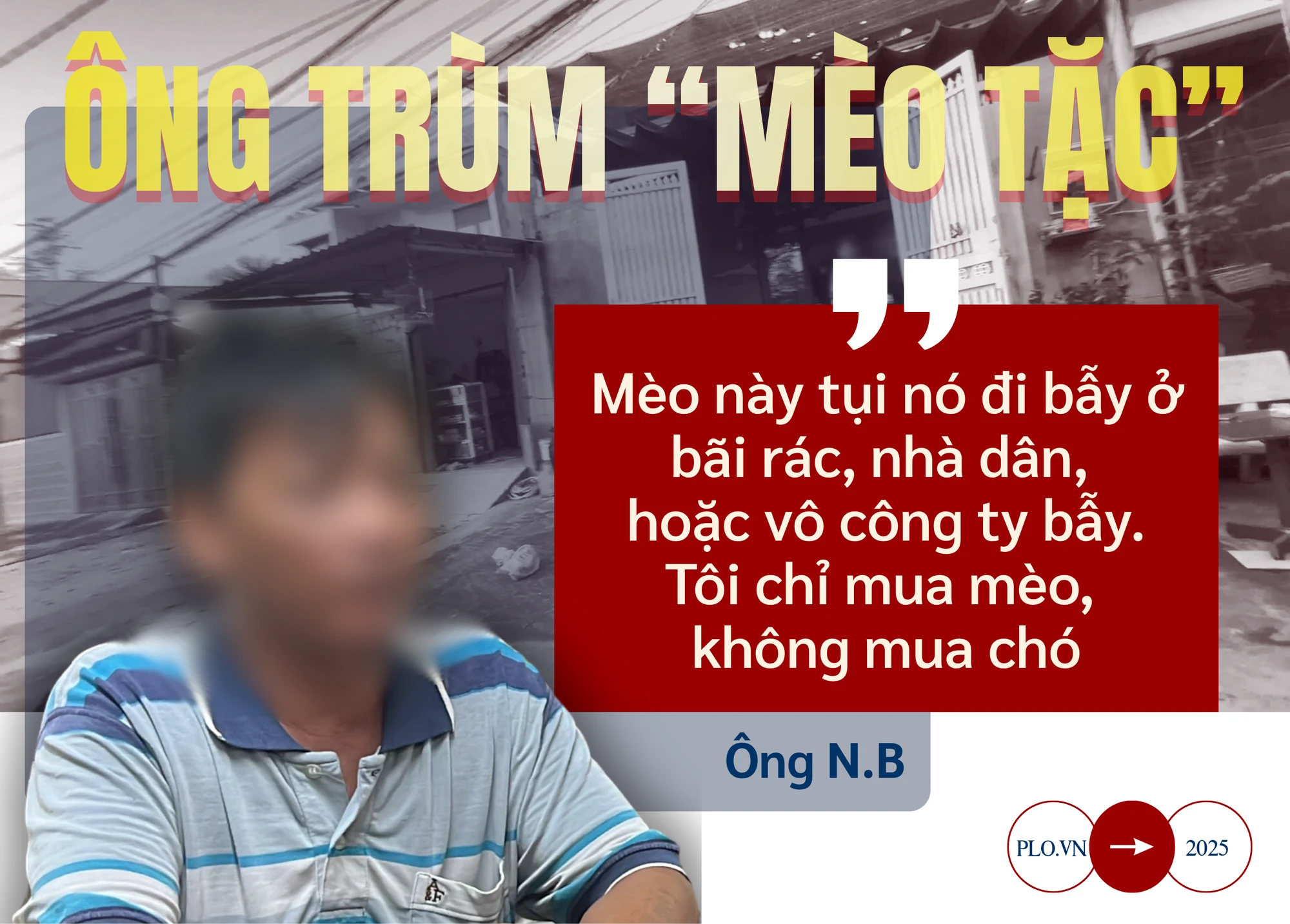 ẢNH GHÉP 10 - Hình ảnh cơ sở mèo tặc của ông N.B + chân dung ông N.B khi bị bắt + trích dẫn_ “Mèo này tụi nó đi bẫy ở bãi rác, nhà dân cho, hoặc vô công ty bẫy. Tôi chỉ mua mèo, không mua.png
