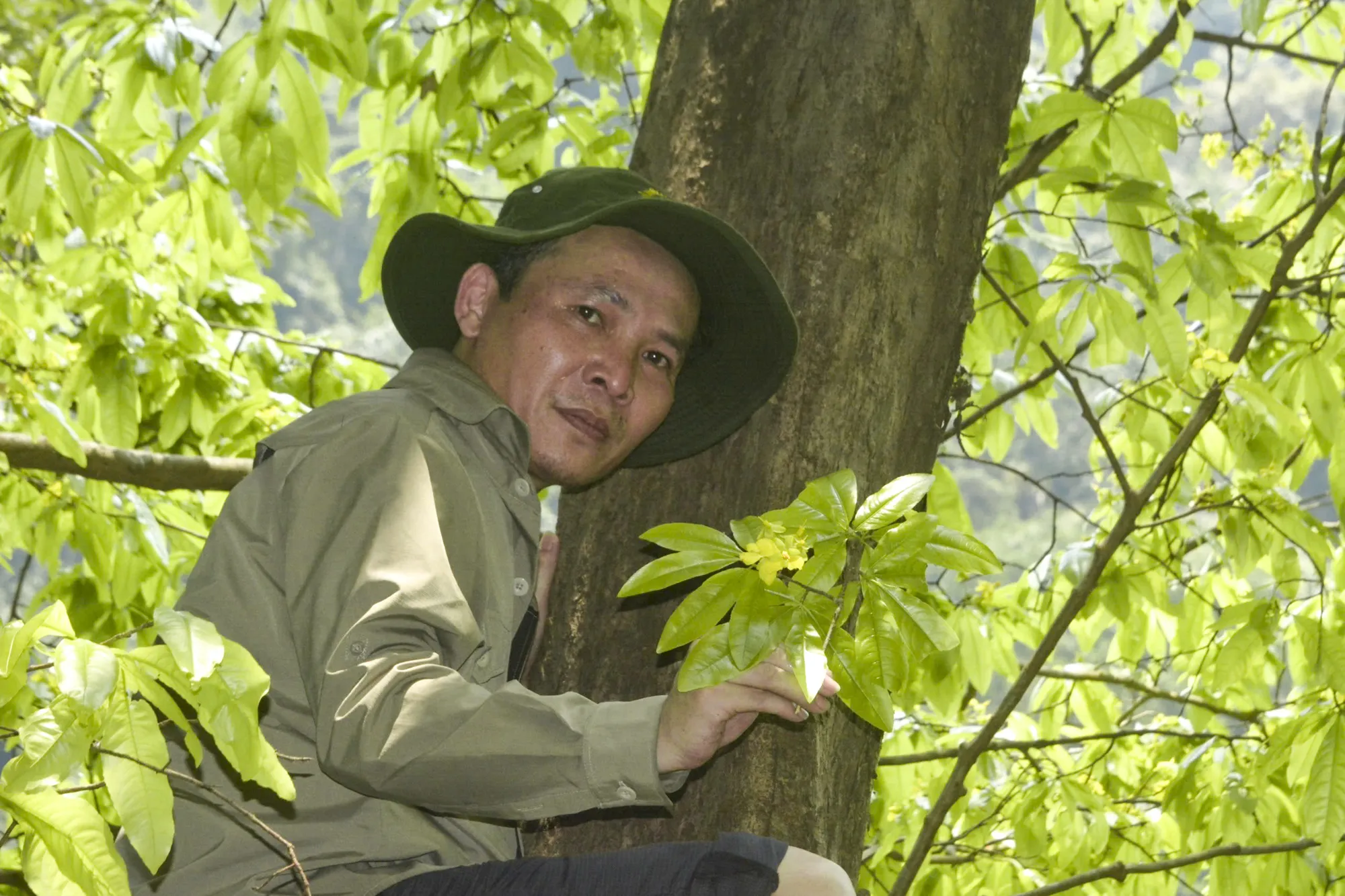 mai-co-thu-trong-rung-1.jpg