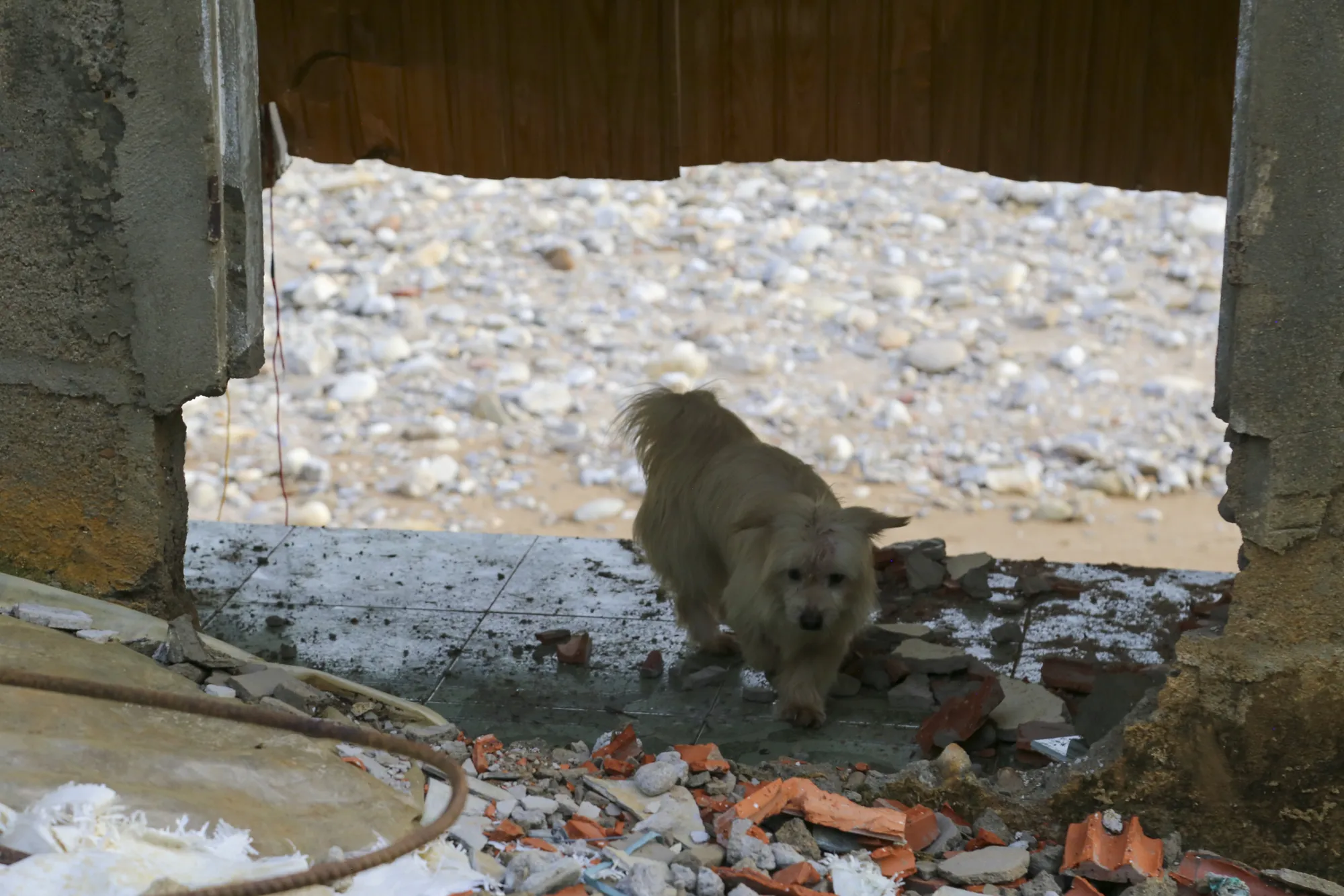 nha-bi-cuon-troi-mat-het-roi (26).jpg