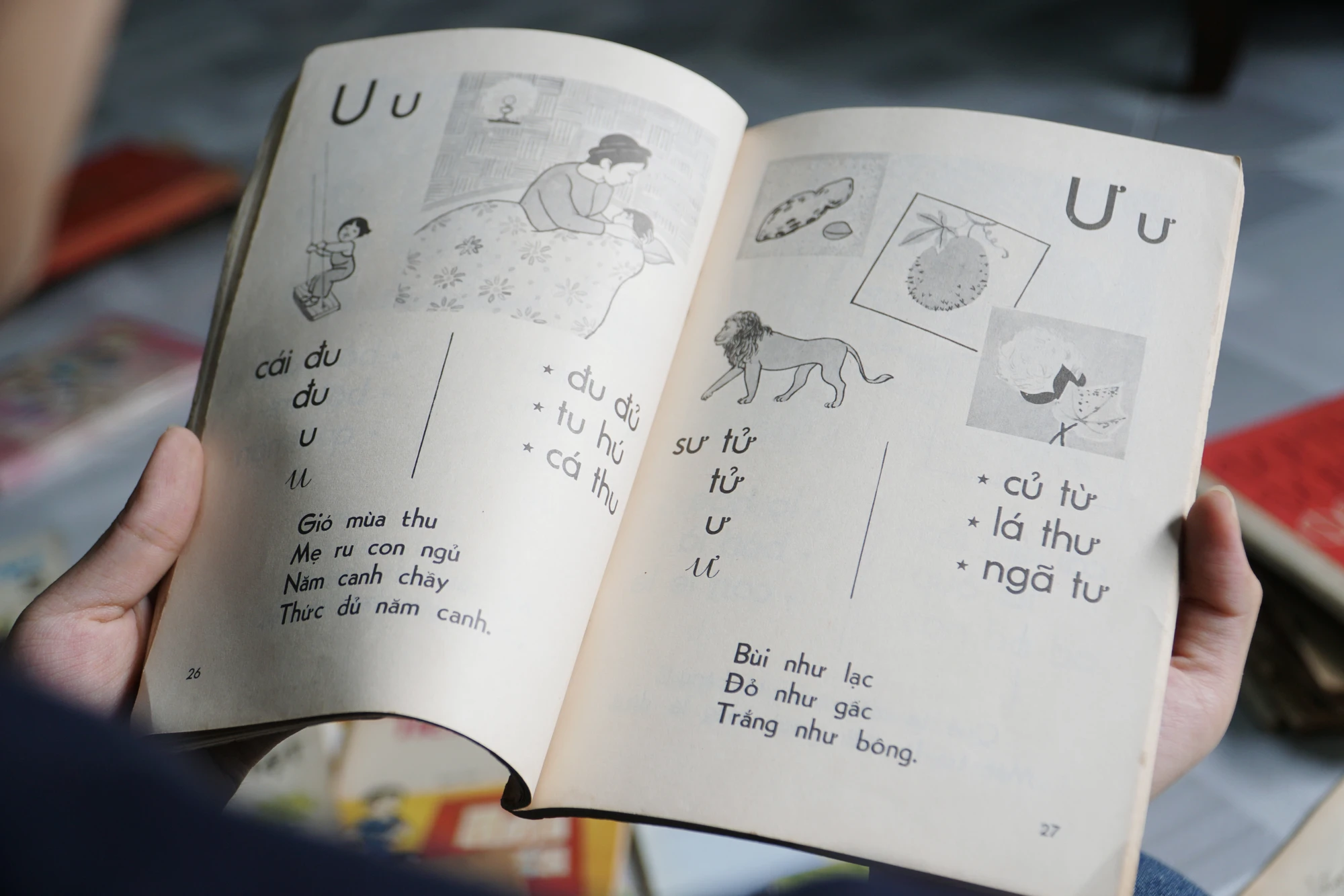 Ảnh 11.jpg