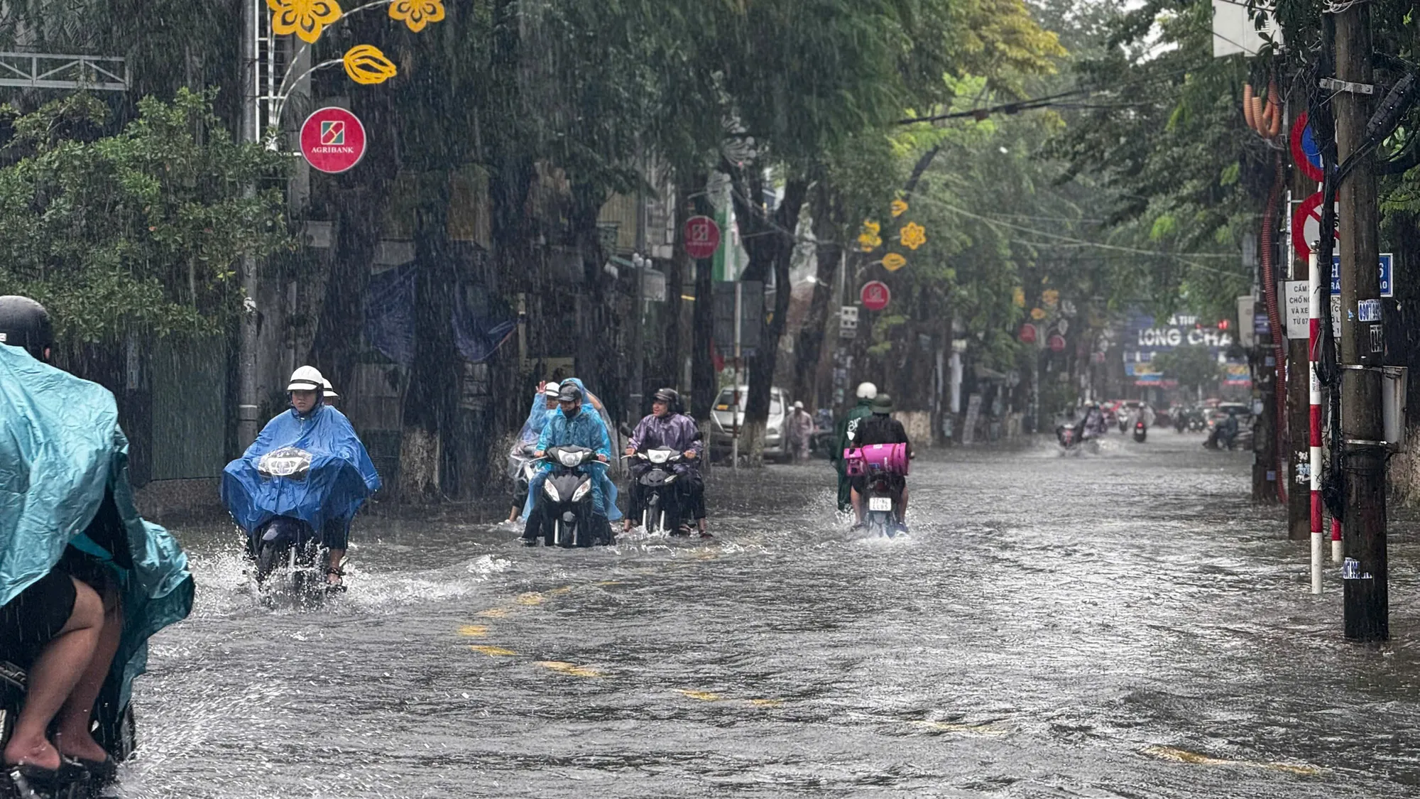 mua-trang-troi-trung-tam-quang-ngai-chim-sau-trong-nuoc (5).jpg