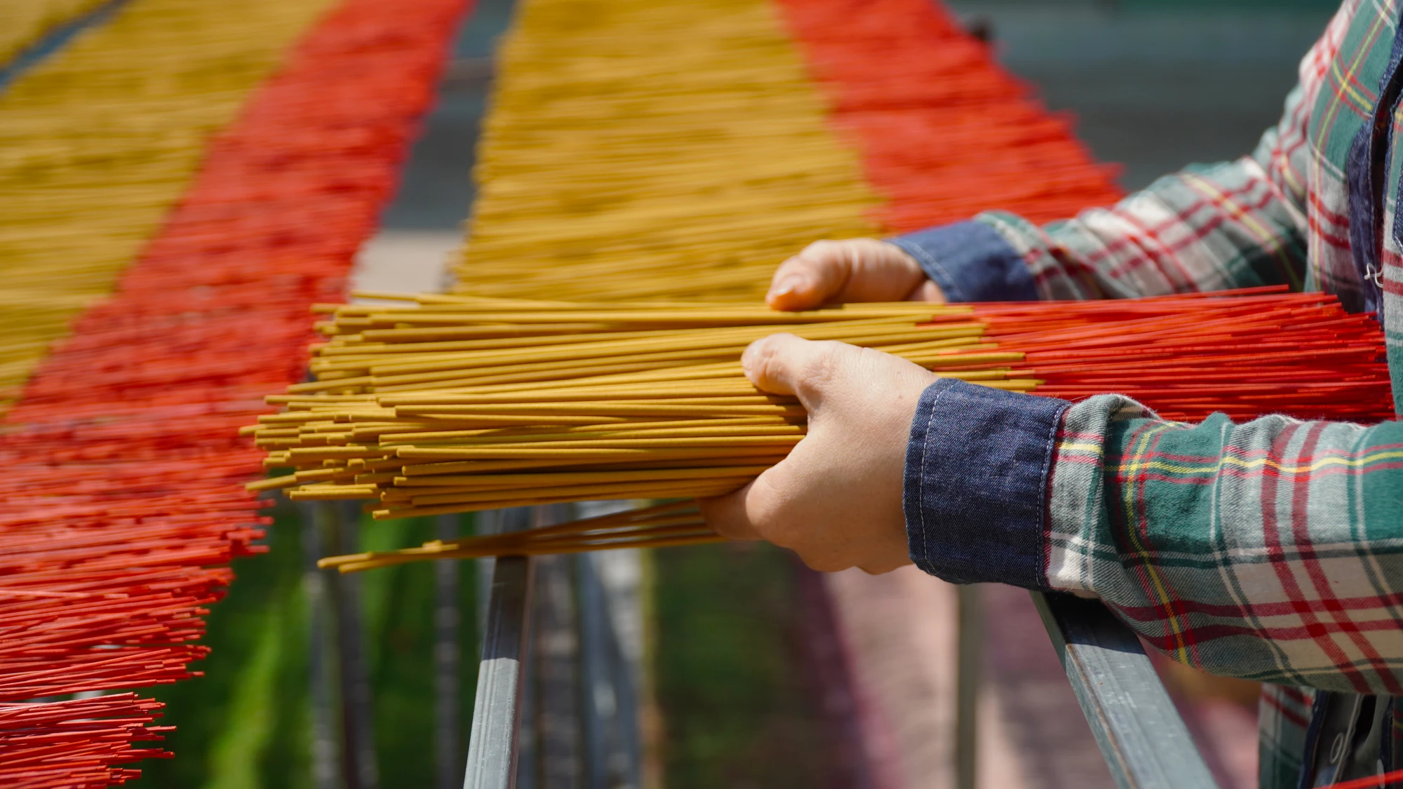 Long Thanh Bac Incense Village (13).jpg