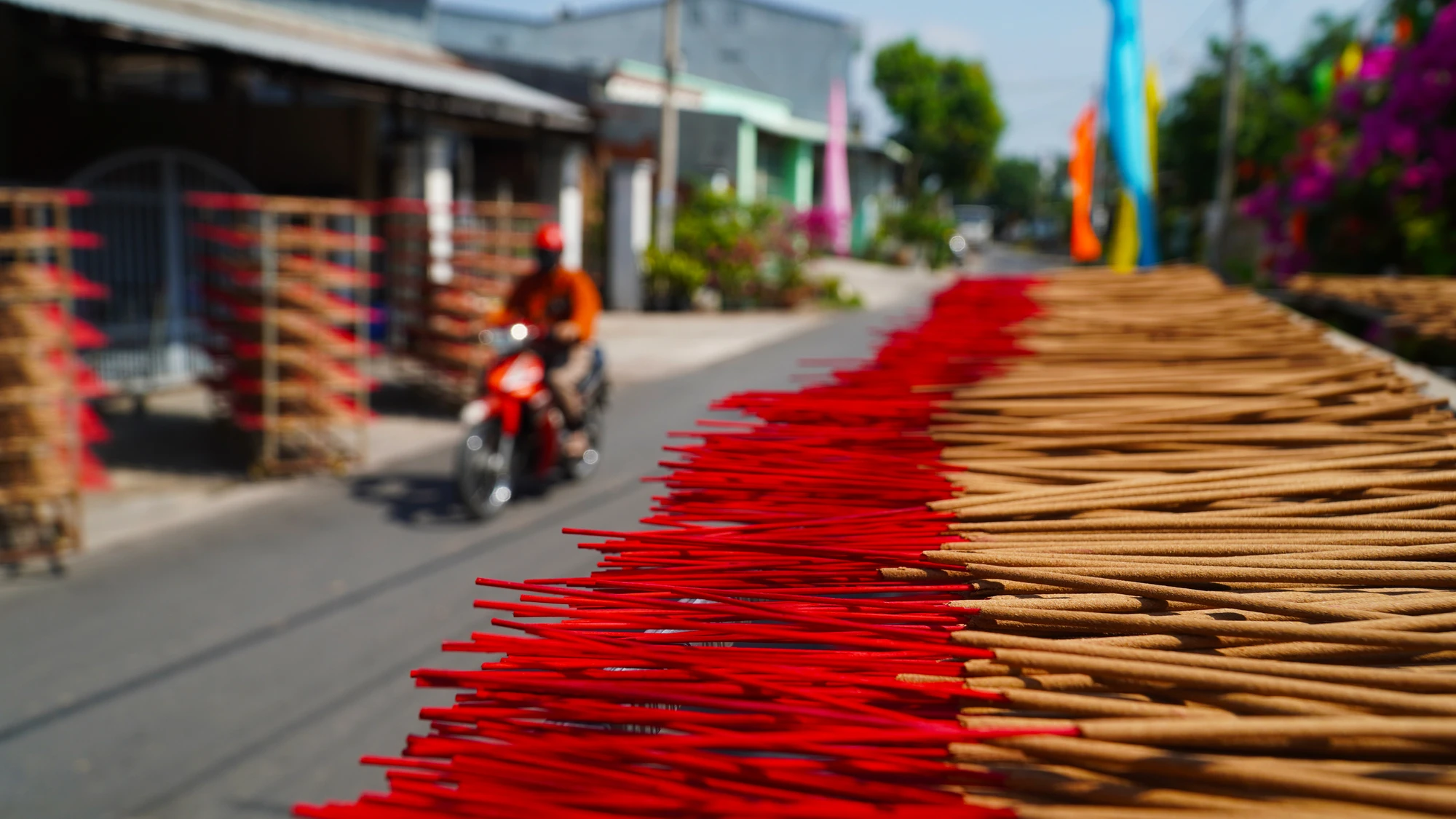 Long Thanh Bac Incense Village (7).jpg