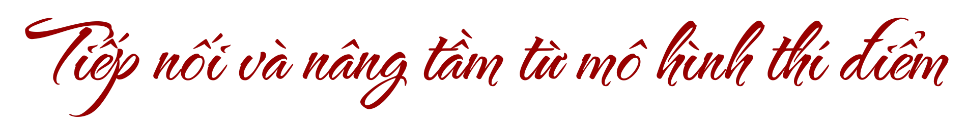 Giữ vững “lá chắn” an toàn thực phẩm giữa lòng đô thị 10 triệu dân