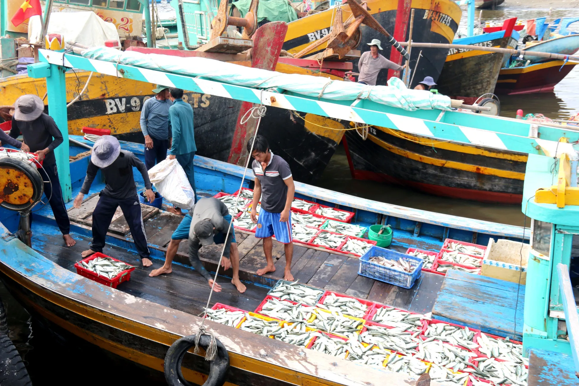 Bình Thuận là một trong những ngư trường lớn nhất nước, sản lượng dồi dào.