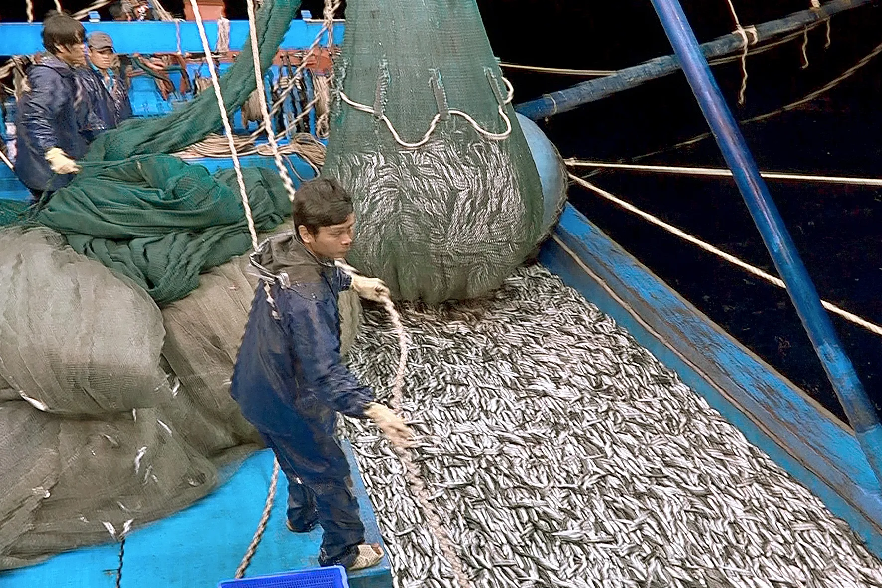 Mẻ cá trúng đậm đầu năm 2023 của ngư dân Bình Thuận.