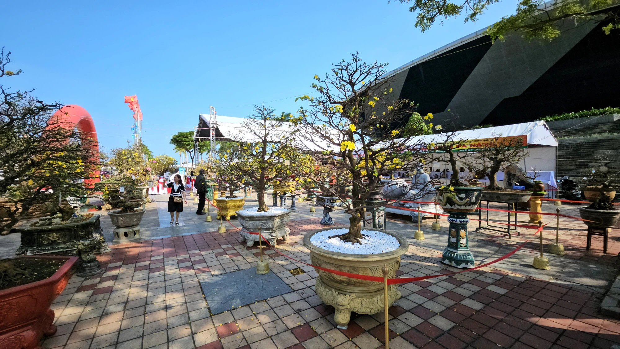 cho-hoa-tet-da-nang-mai-vang-2024-10.jpg