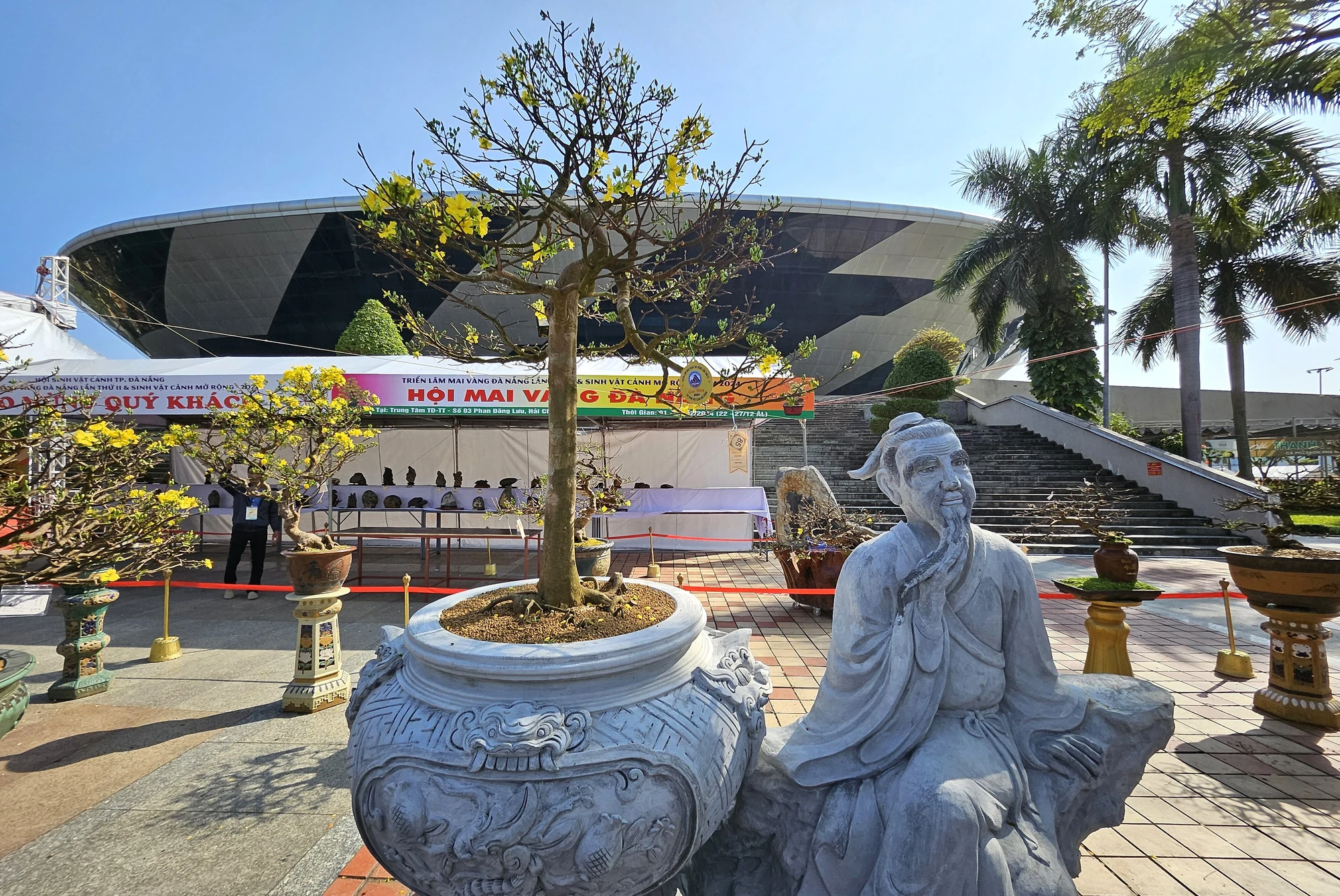 cho-hoa-tet-da-nang-mai-vang-2024-8.jpg