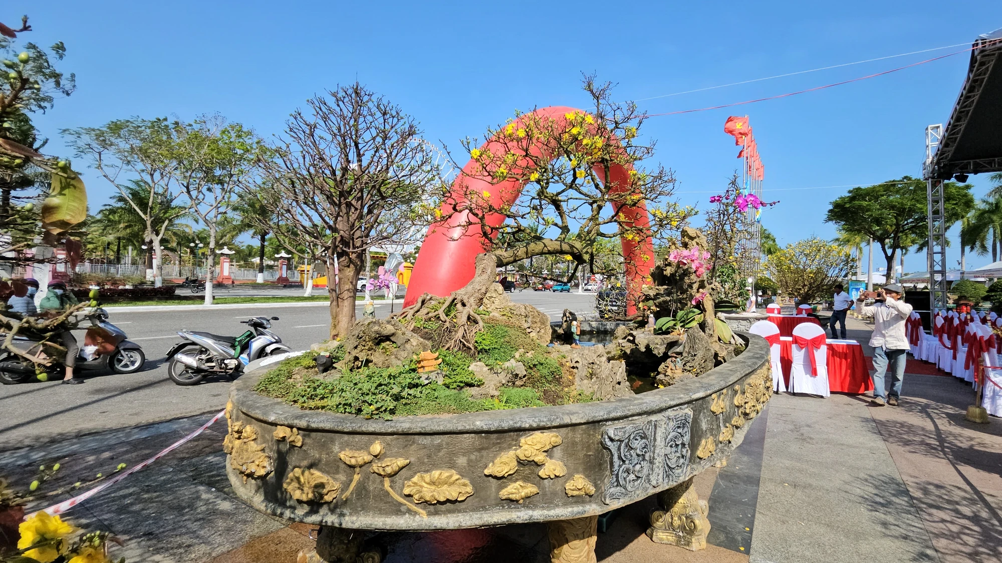 cho-hoa-tet-da-nang-mai-vang-2024-9.jpg