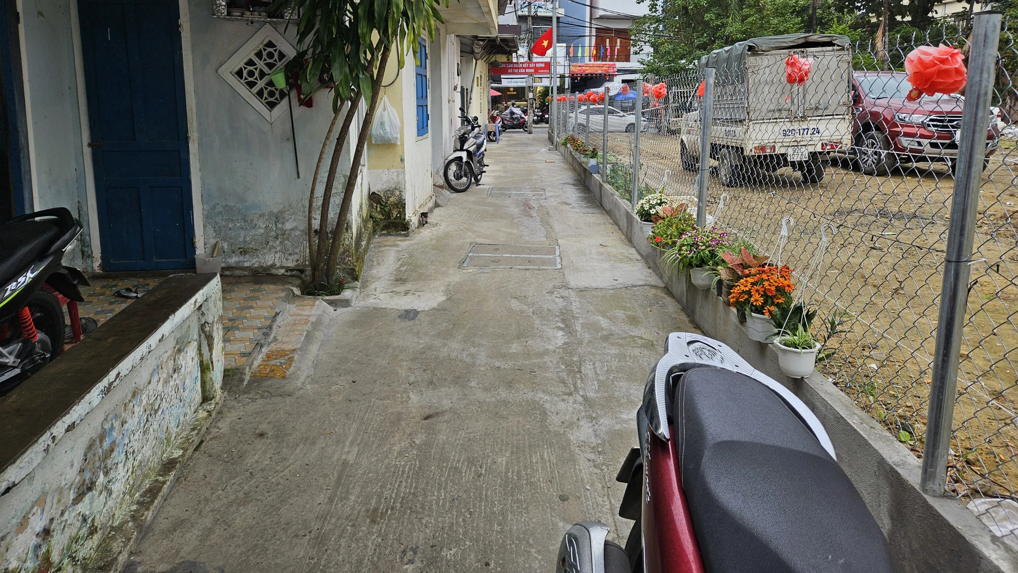 tet-giap-thin-2024-da-nang.jpg