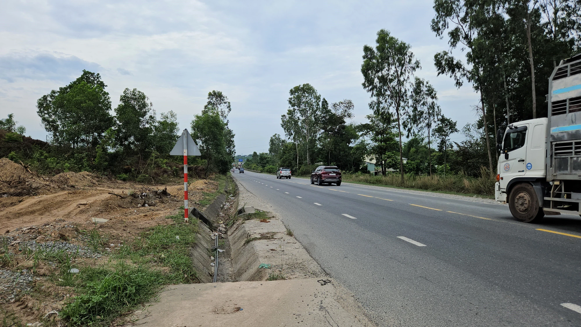 cao-toc-hoa-lien-tuy-loan-da-nang-2.jpg
