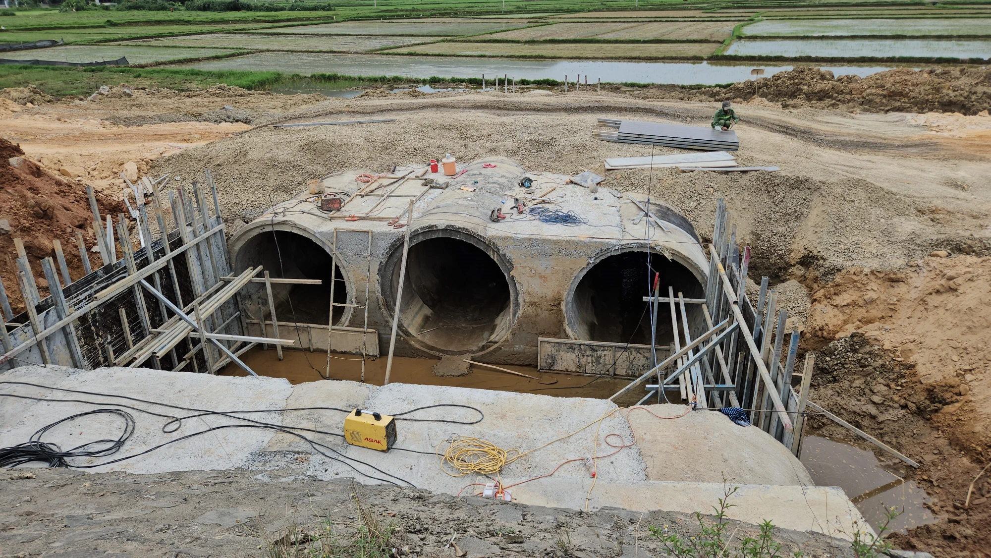 cao-toc-hoa-lien-tuy-loan-da-nang-4.jpg