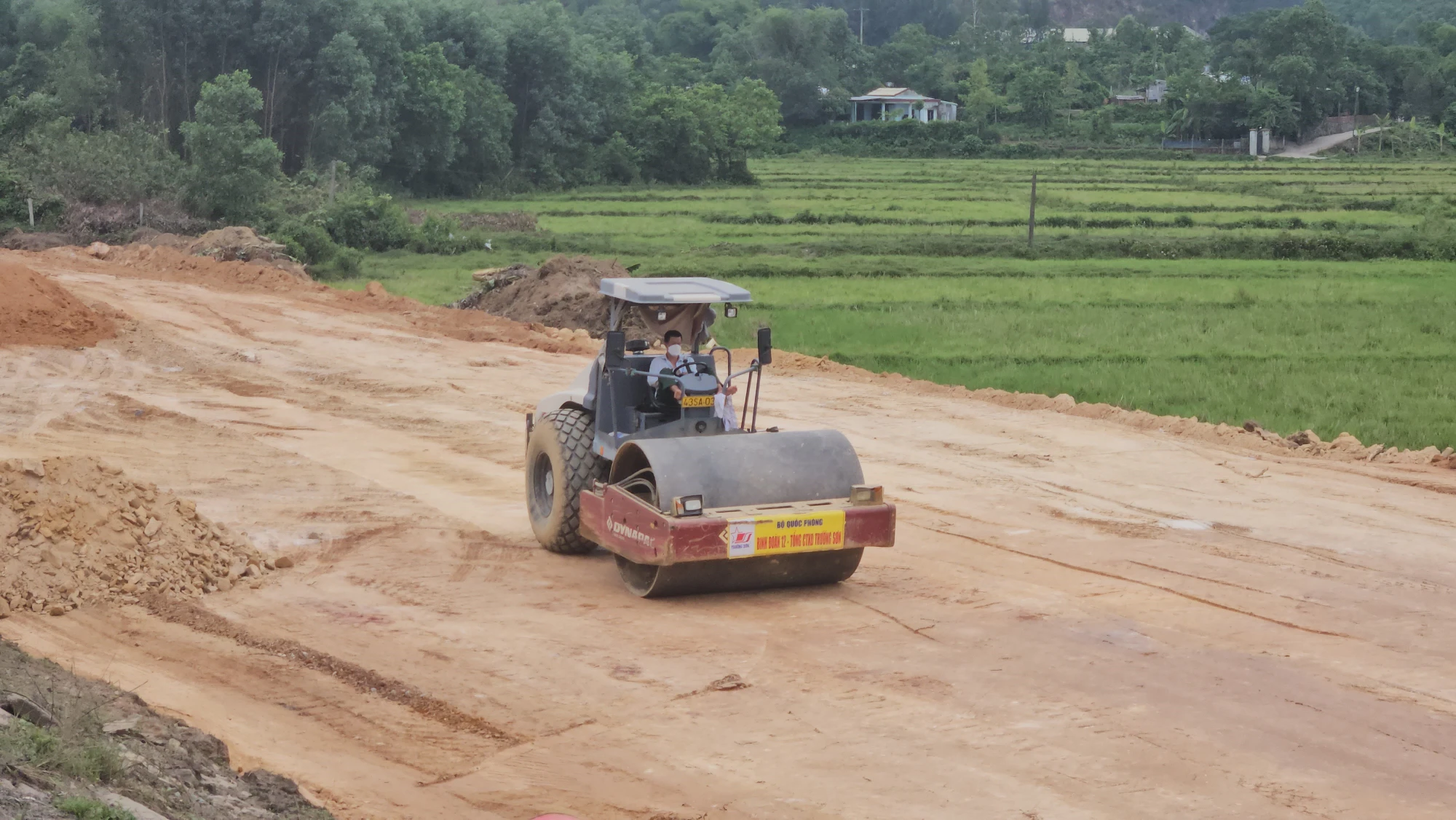 cao-toc-hoa-lien-tuy-loan-da-nang-5.jpg