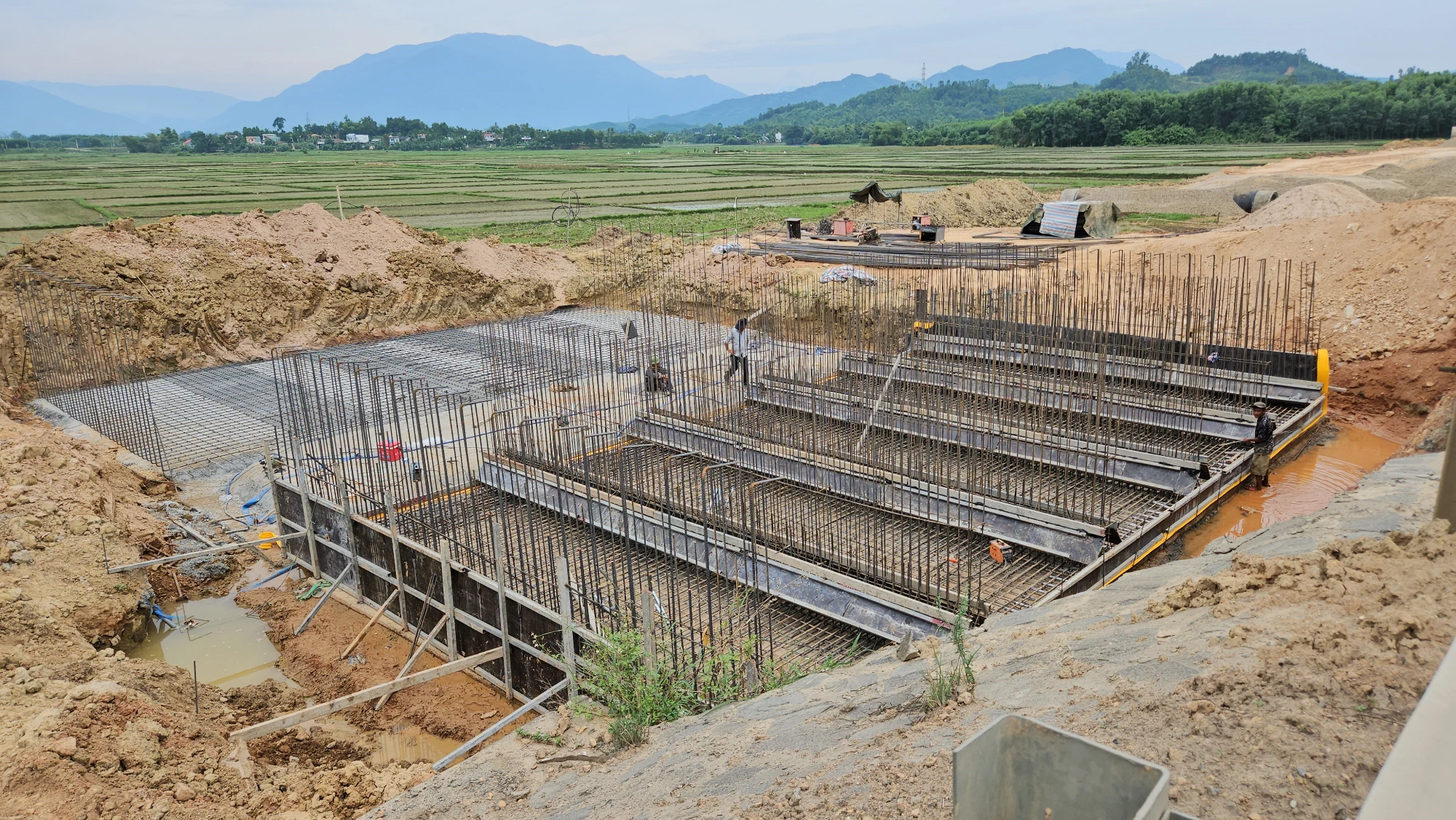 cao-toc-hoa-lien-tuy-loan-da-nang-8.jpg
