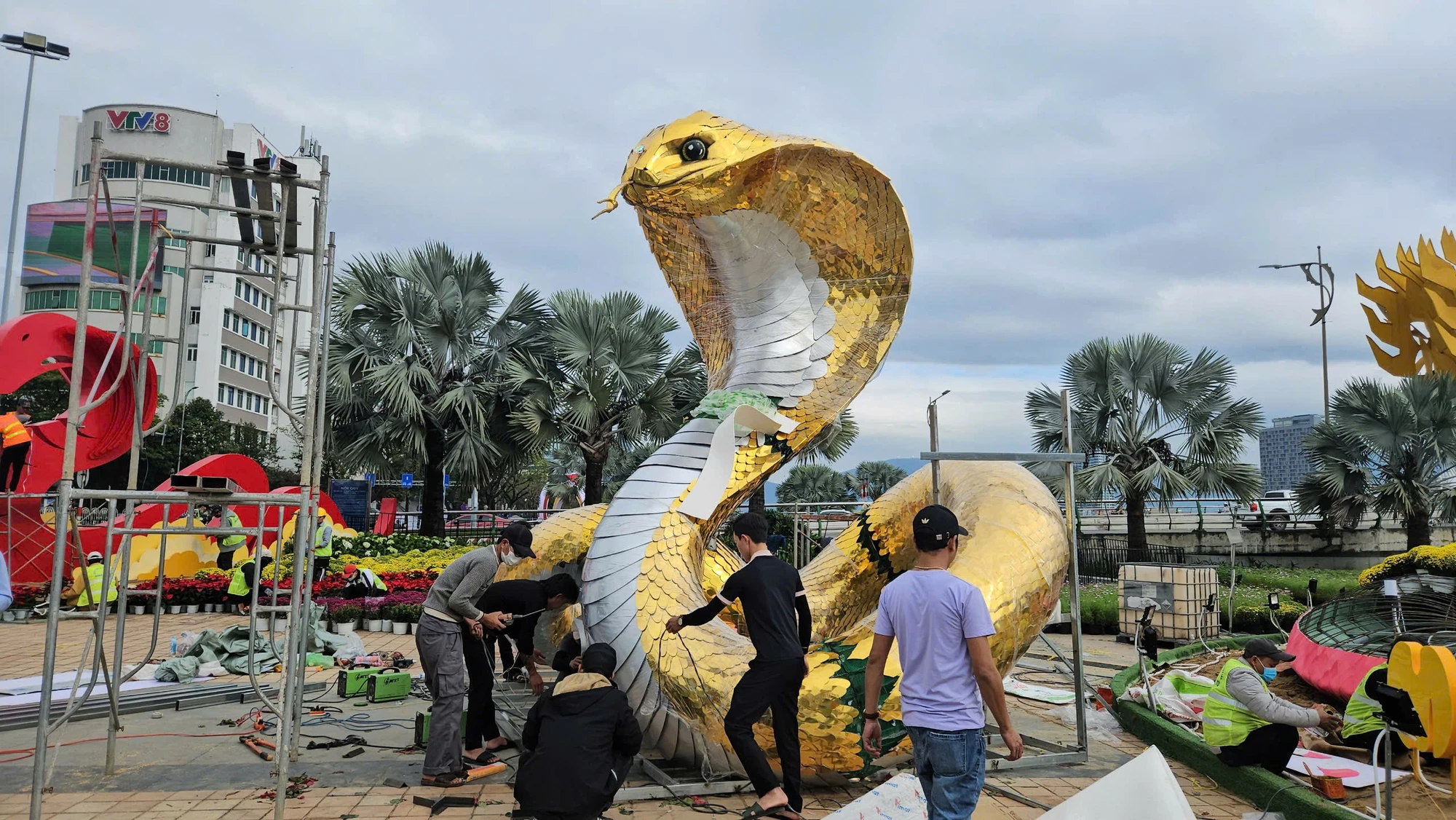 linh-vat-ran-tai-da-nang-1.jpg