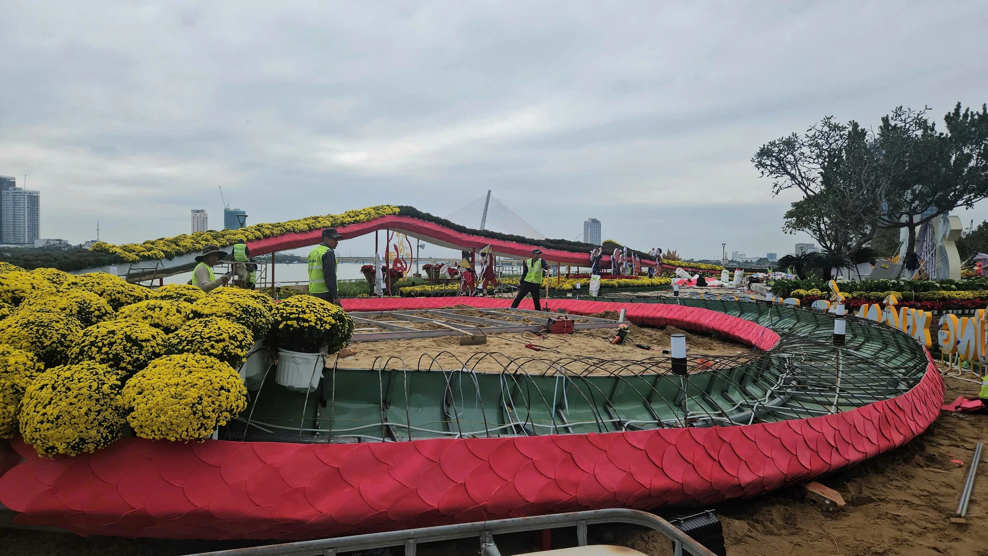 linh-vat-ran-tai-da-nang-10.jpg