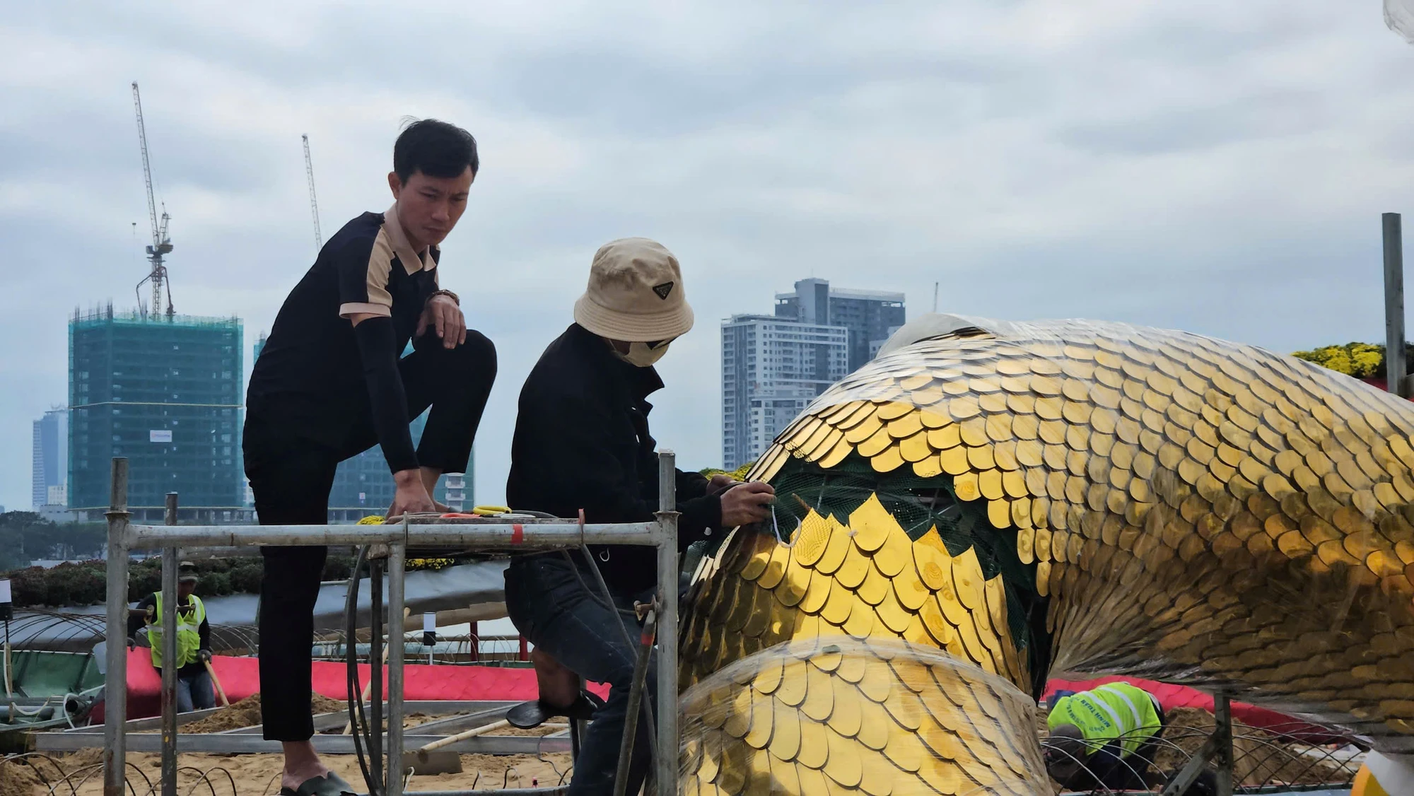 linh-vat-ran-tai-da-nang-4.jpg