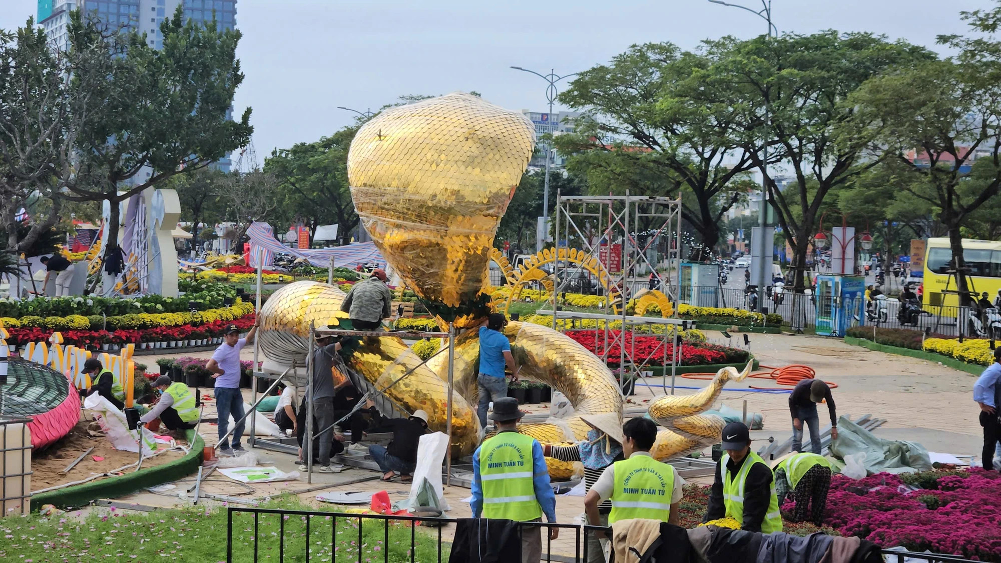 linh-vat-ran-tai-da-nang-6.jpg