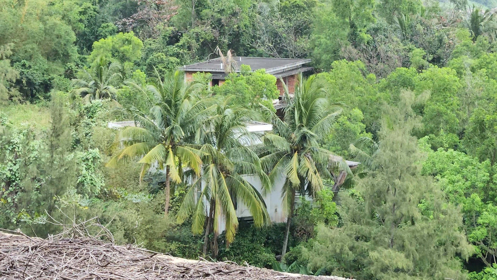 ban-dao-son-tra-7.jpg