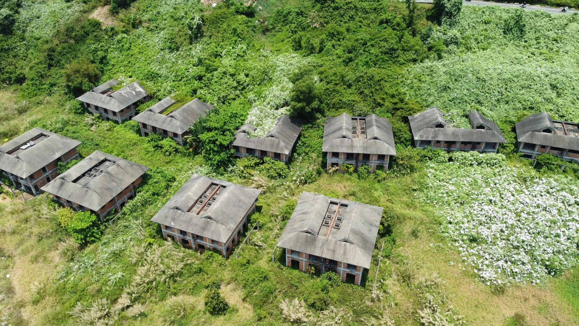 ban-dao-son-tra-9.jpg