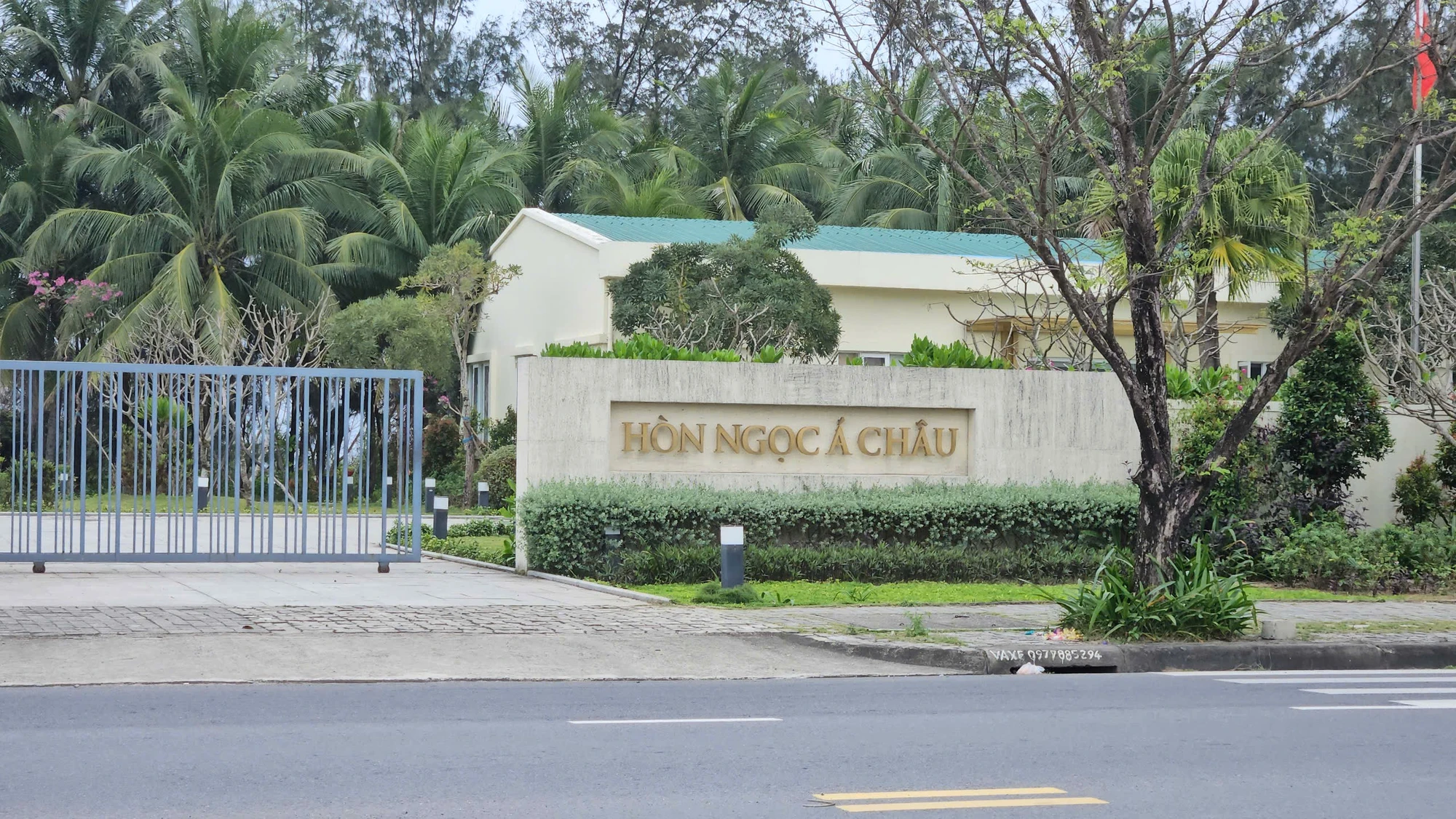 dat-vang-ven-bien-da-nang-9.jpg