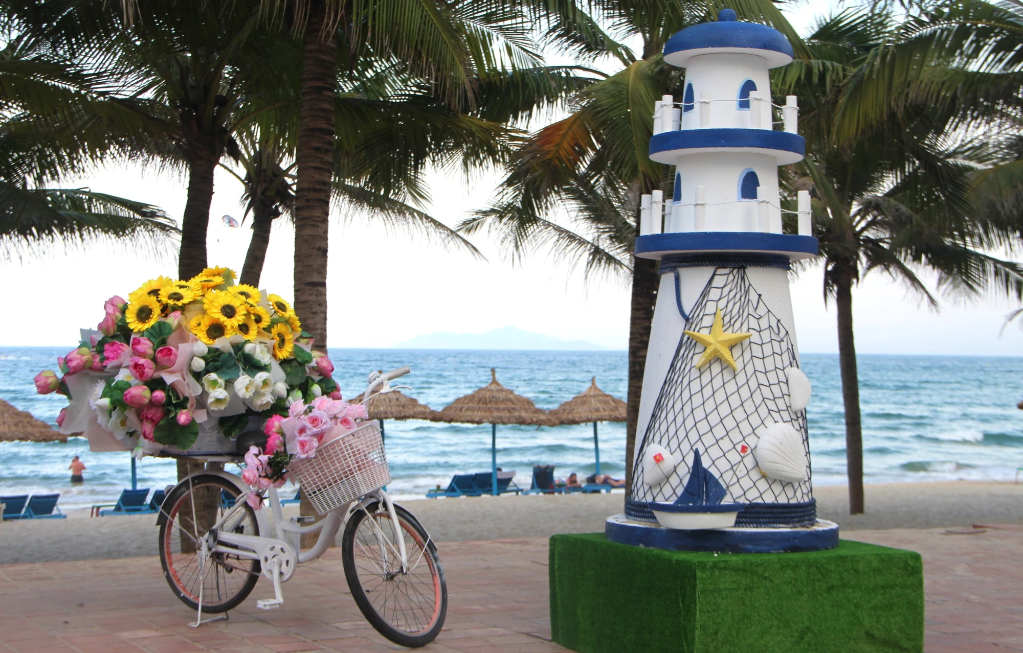 duong-hoa-bien-da-nang-5.JPG