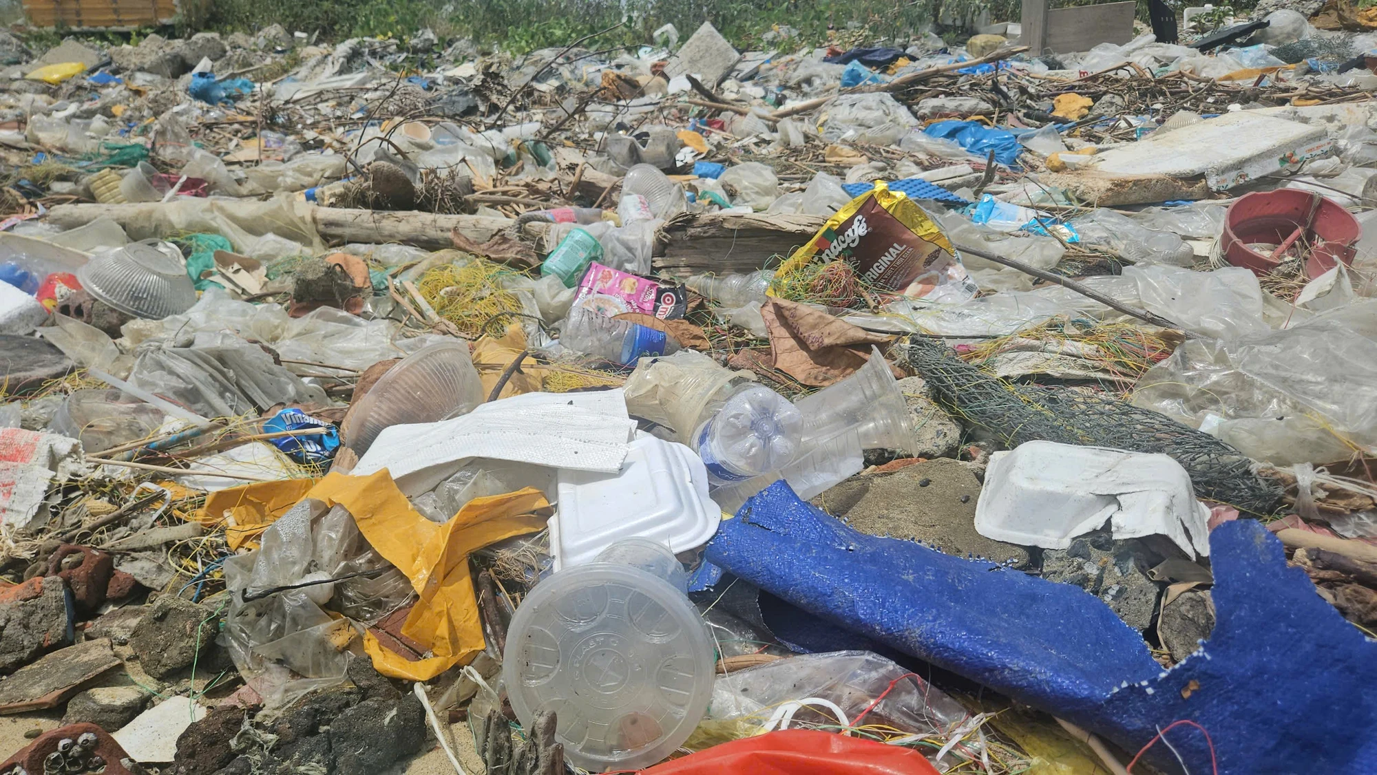 vinh-man-quang-3.jpg