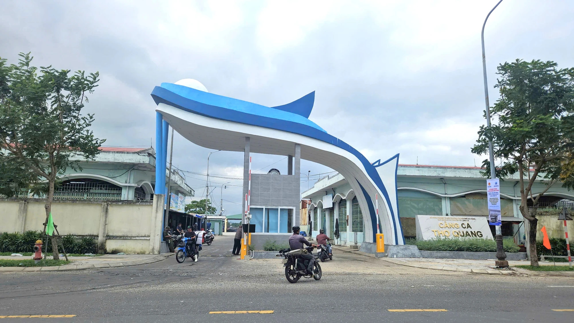 cang-ca-5.jpg