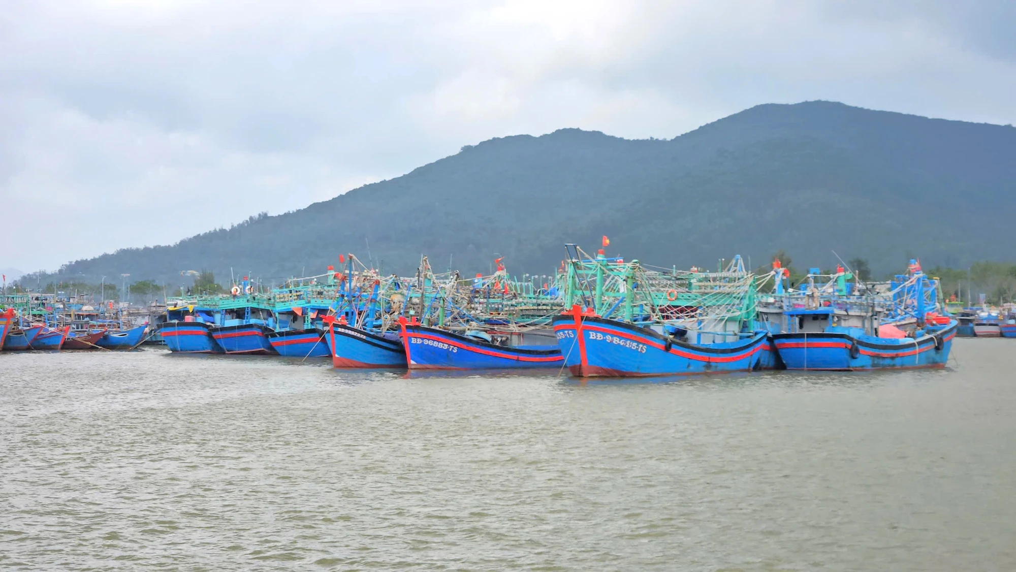 cang-ca-8.jpg