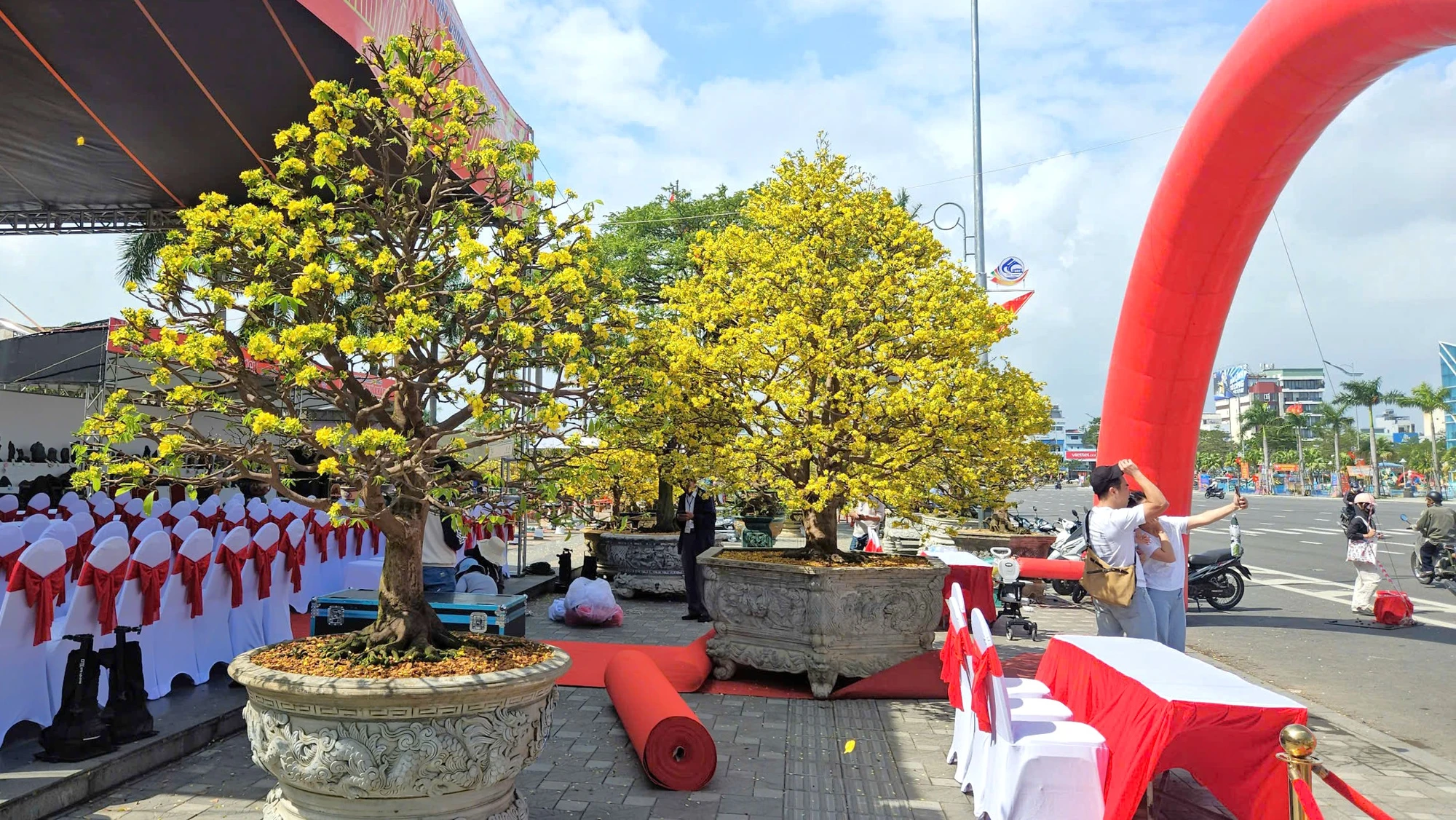 mai-vang-6.jpg