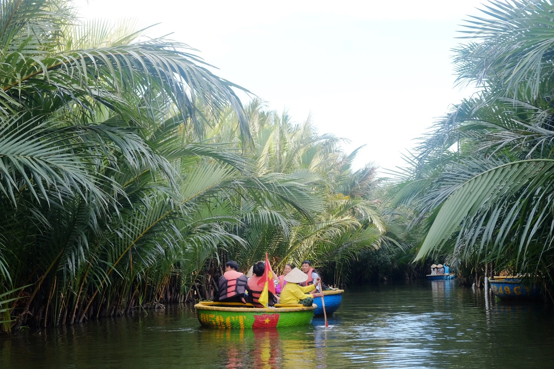 rừng dừa bảy mẫu