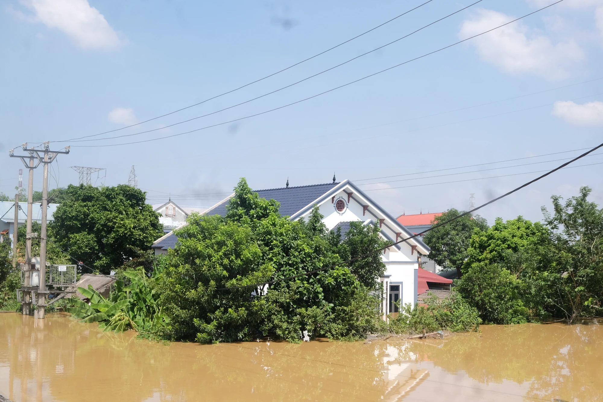 DSCF4280.JPG